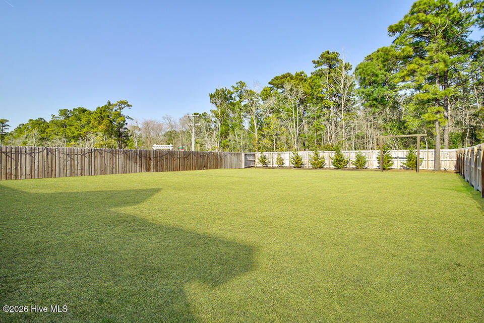 100554310 | Photo 43