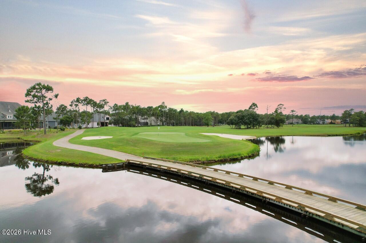 100566175 | Photo 49