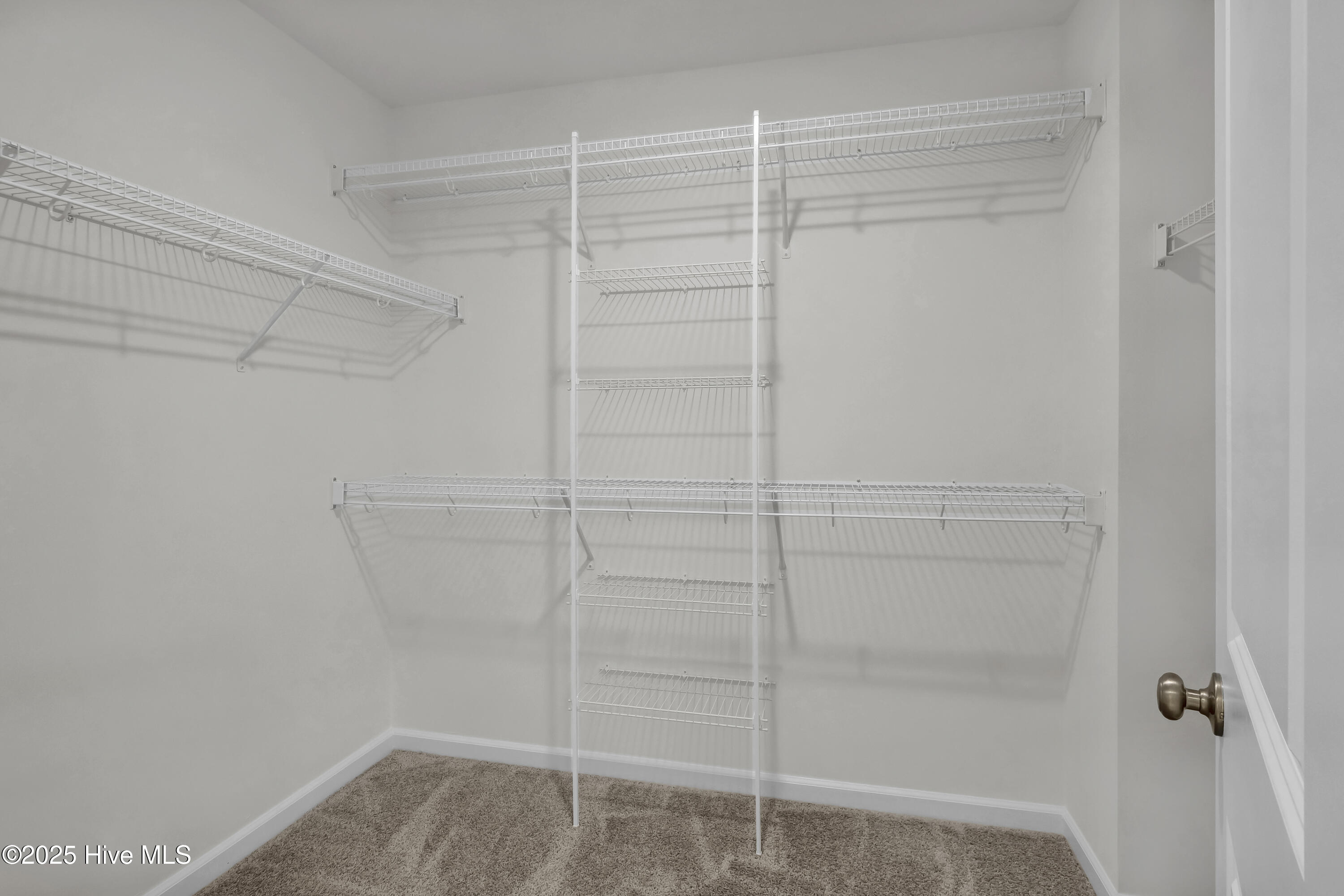 100543348 | Photo 33