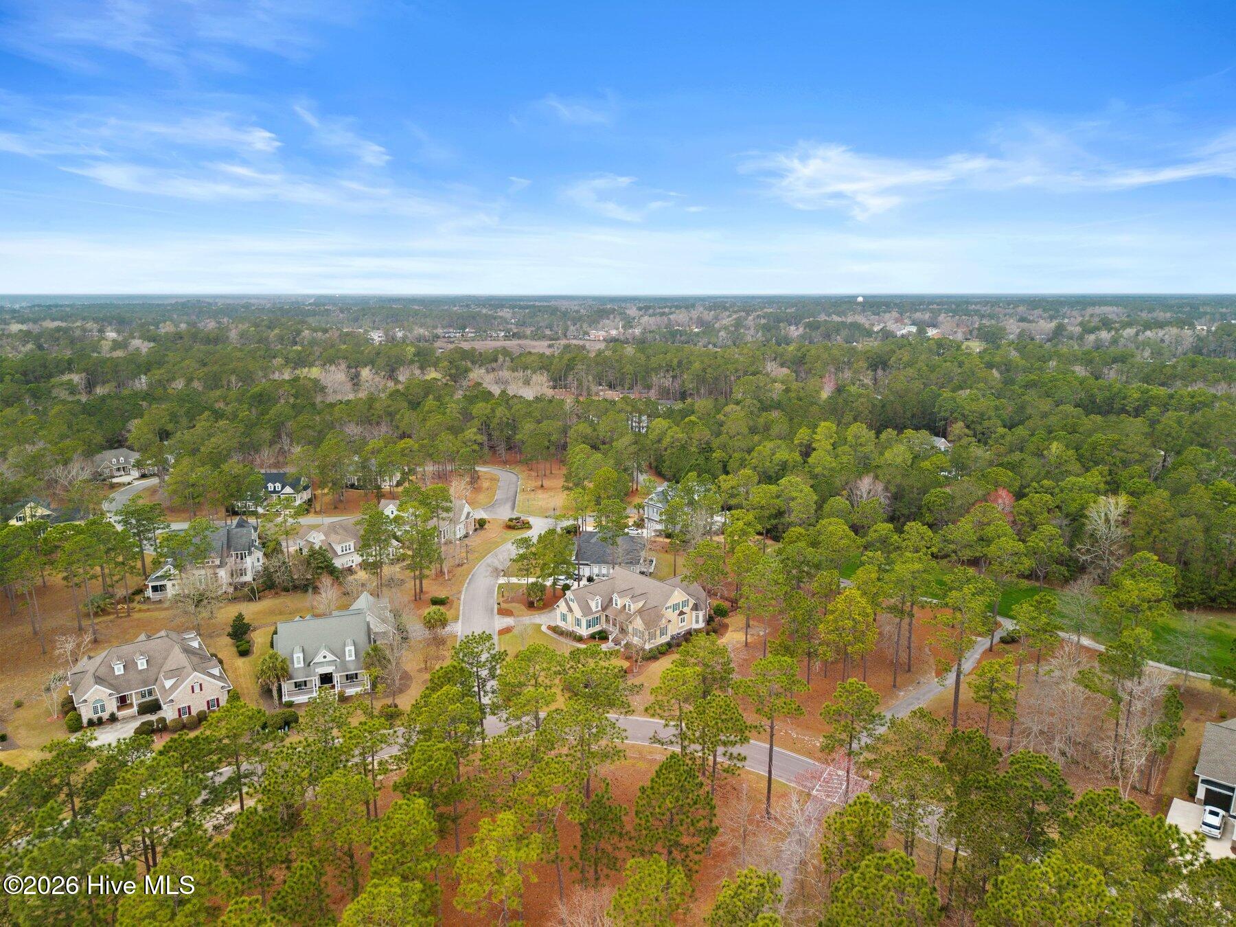 100559574 | Photo 51