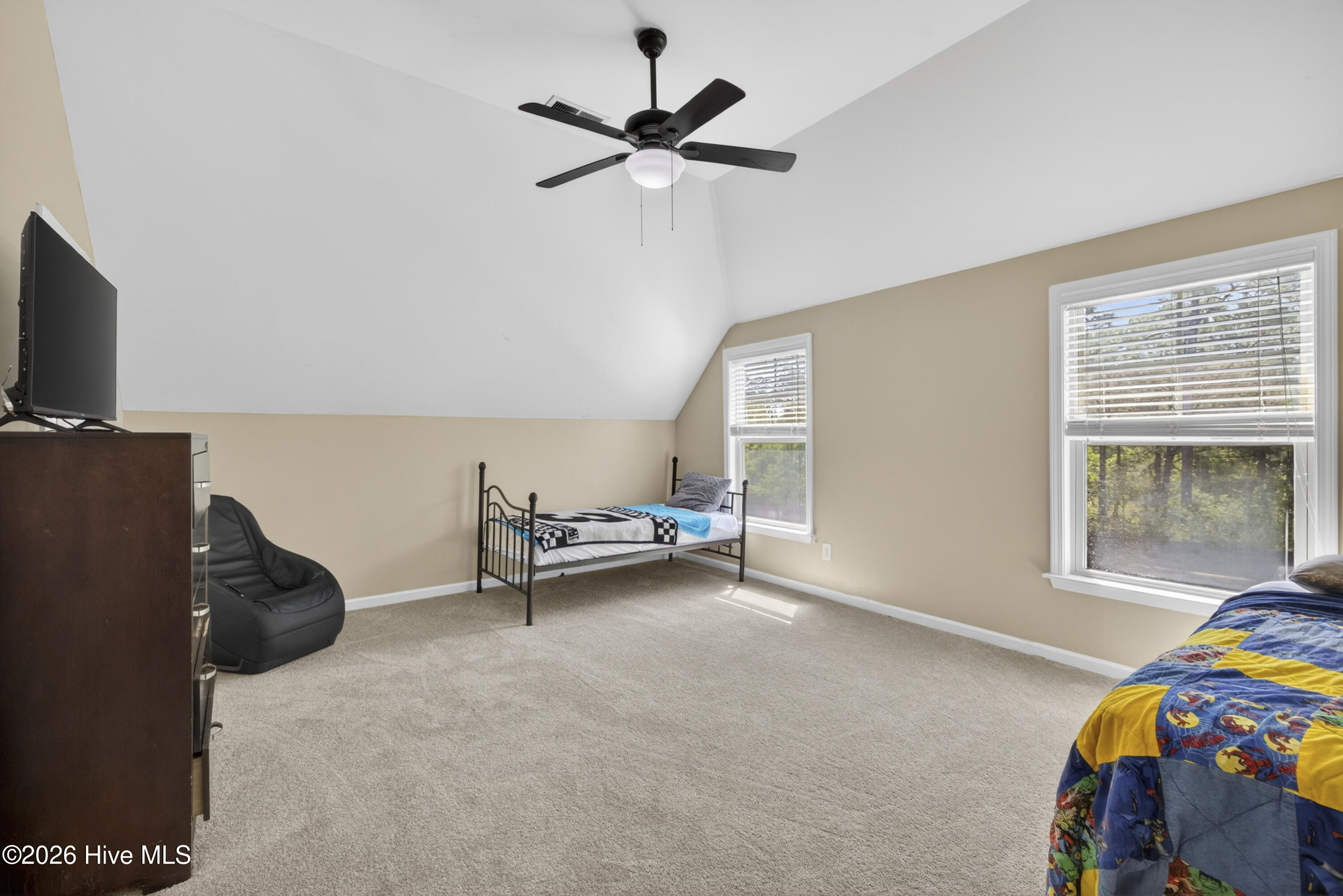 100568620 | Photo 35