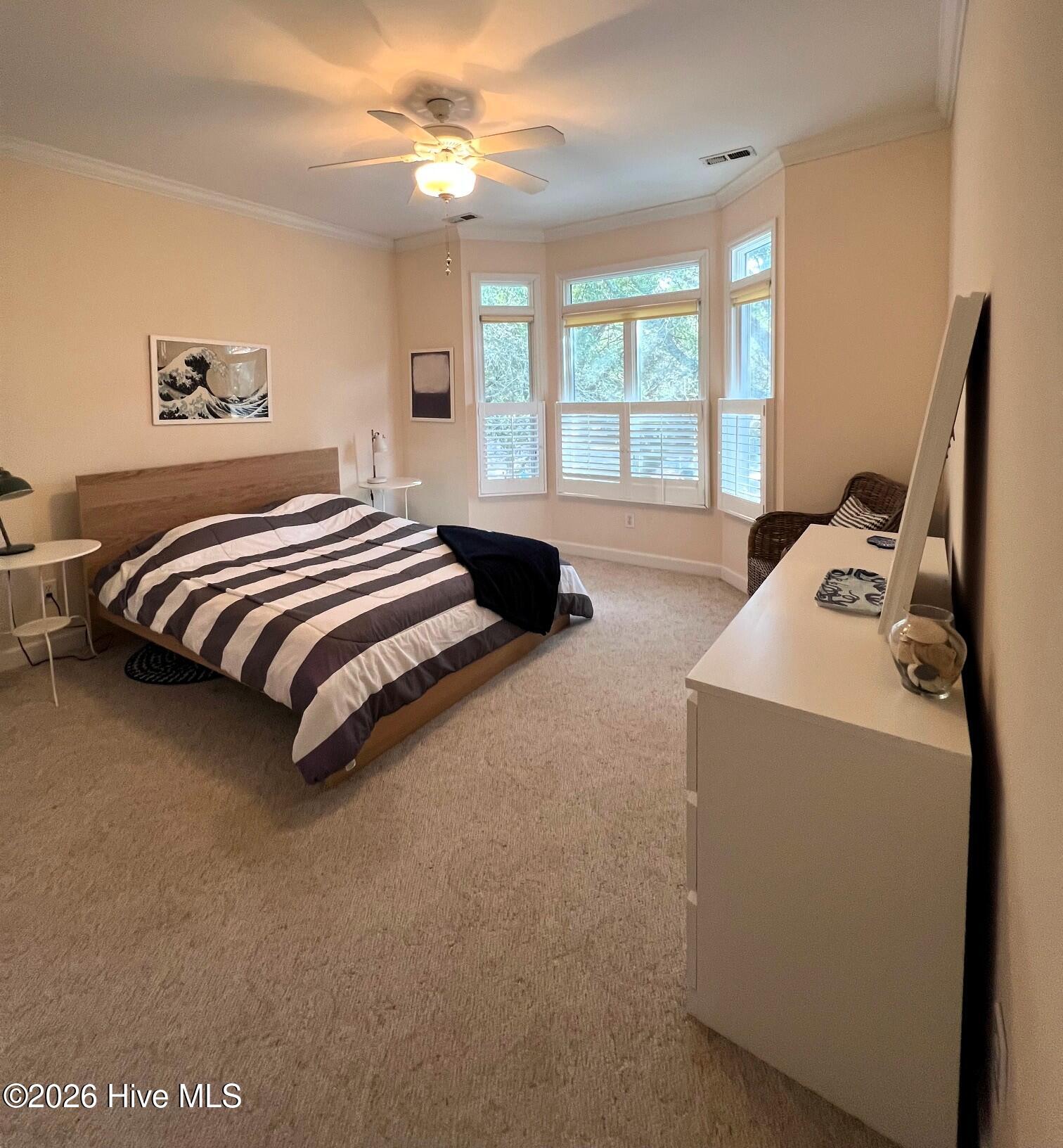 100552871 | Photo 26