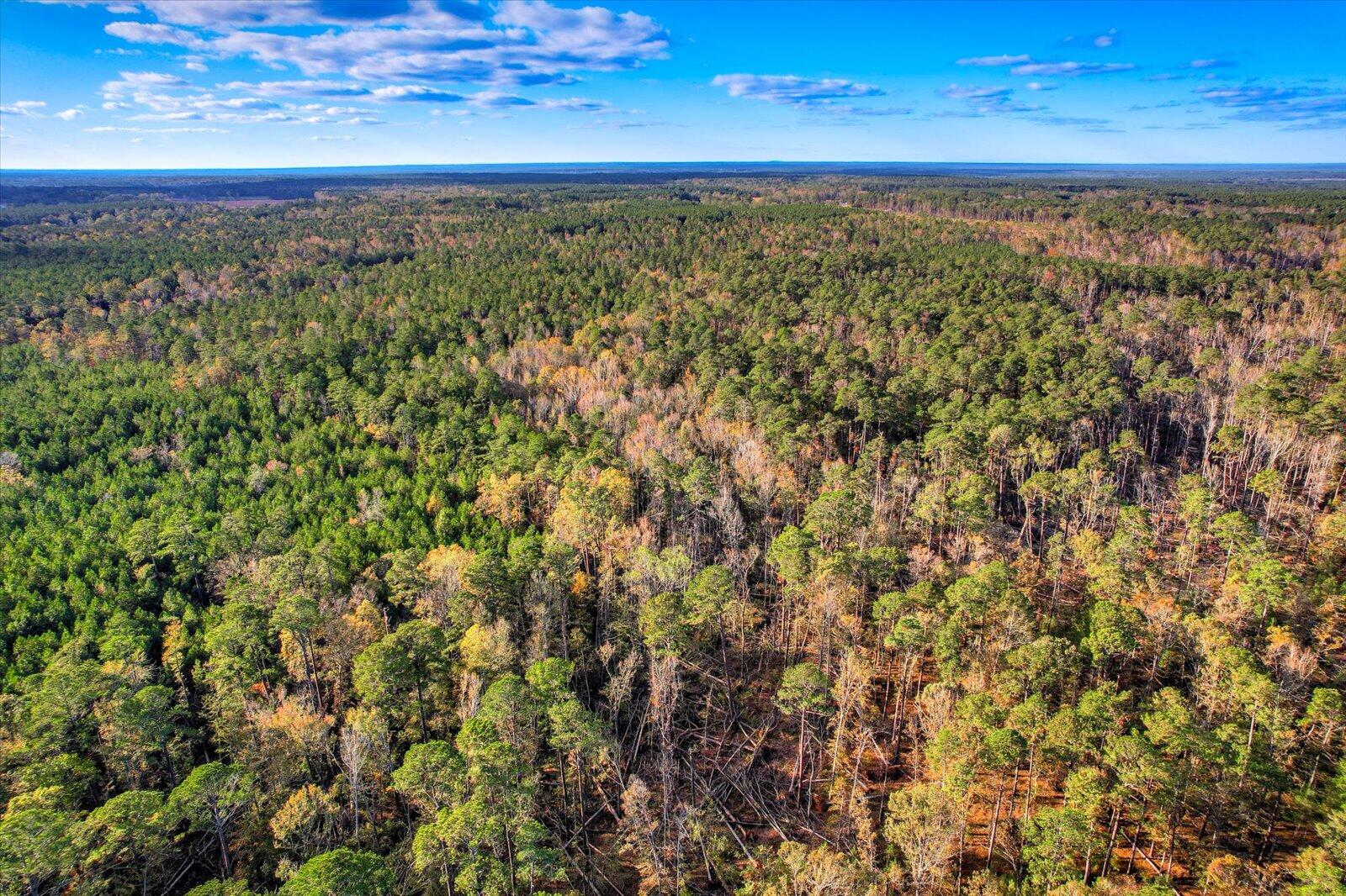 TBD2 SC-23, Edgefield, SC, 29824