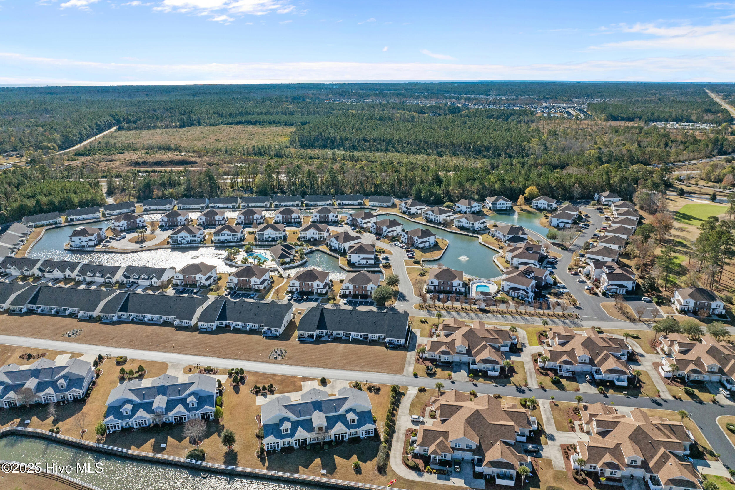 100545335 | Photo 40