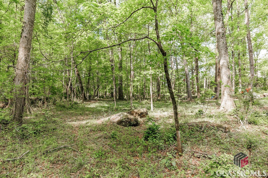 1031 Long Branch Run