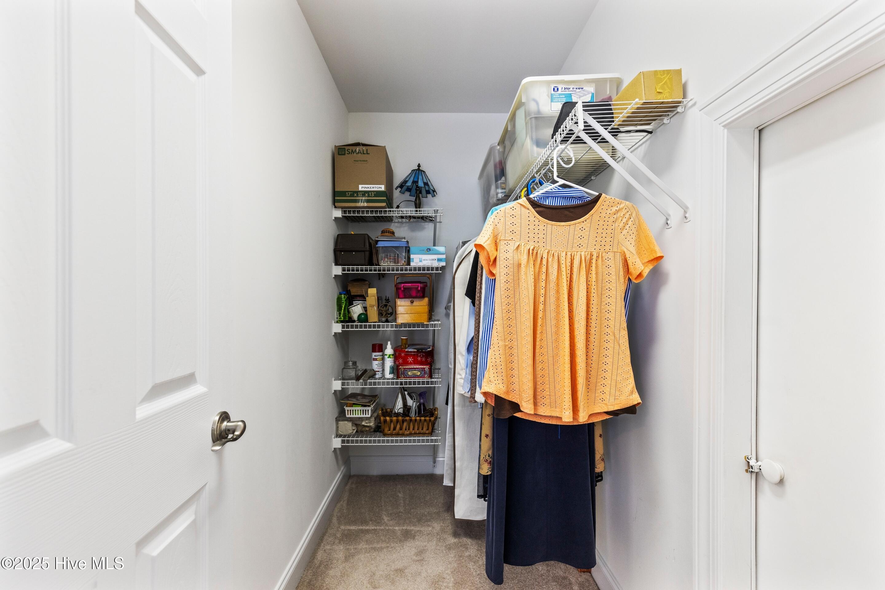 100514713 | Photo 49