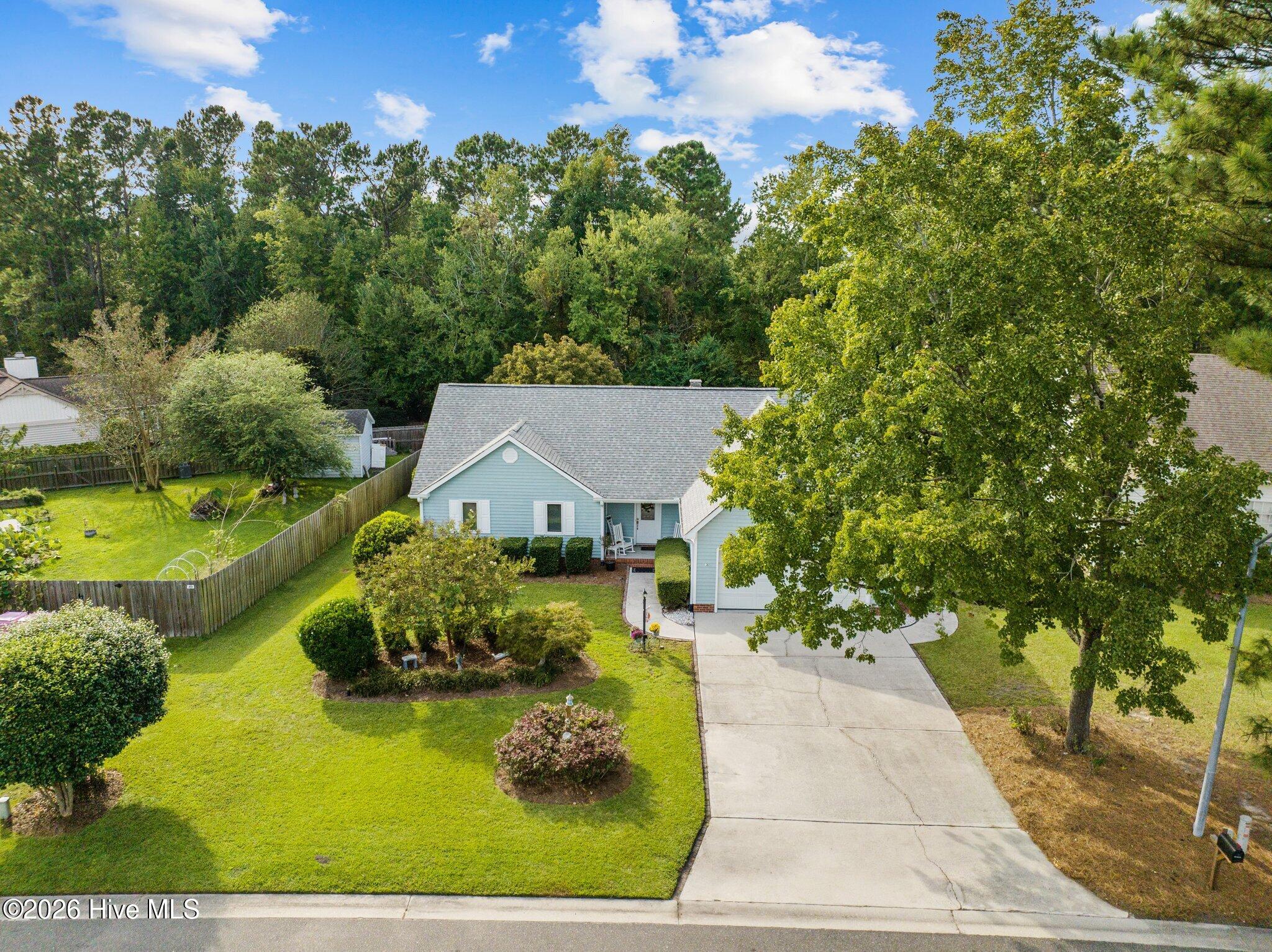 100568995 | Photo 53