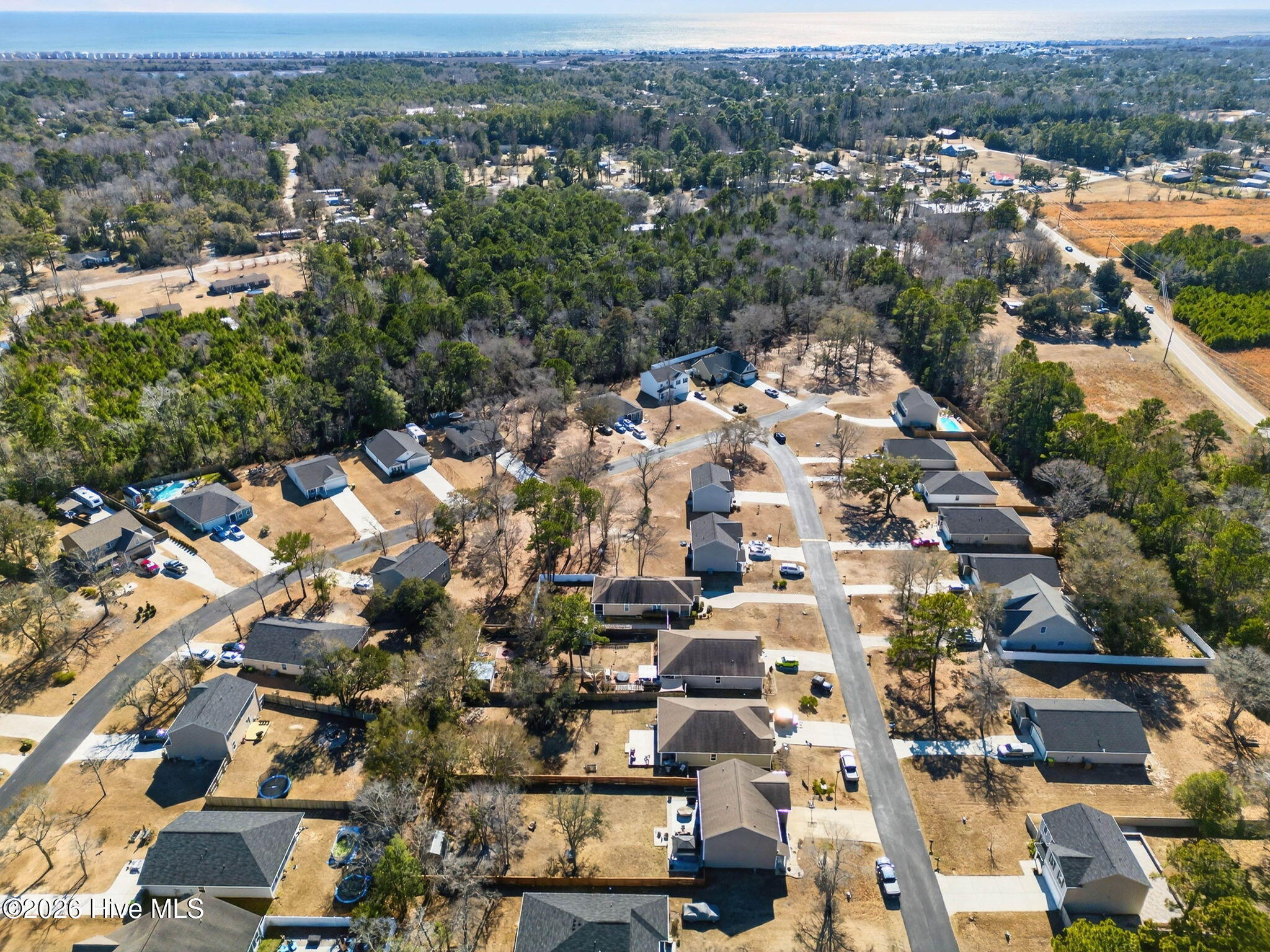 100555390 | Photo 43