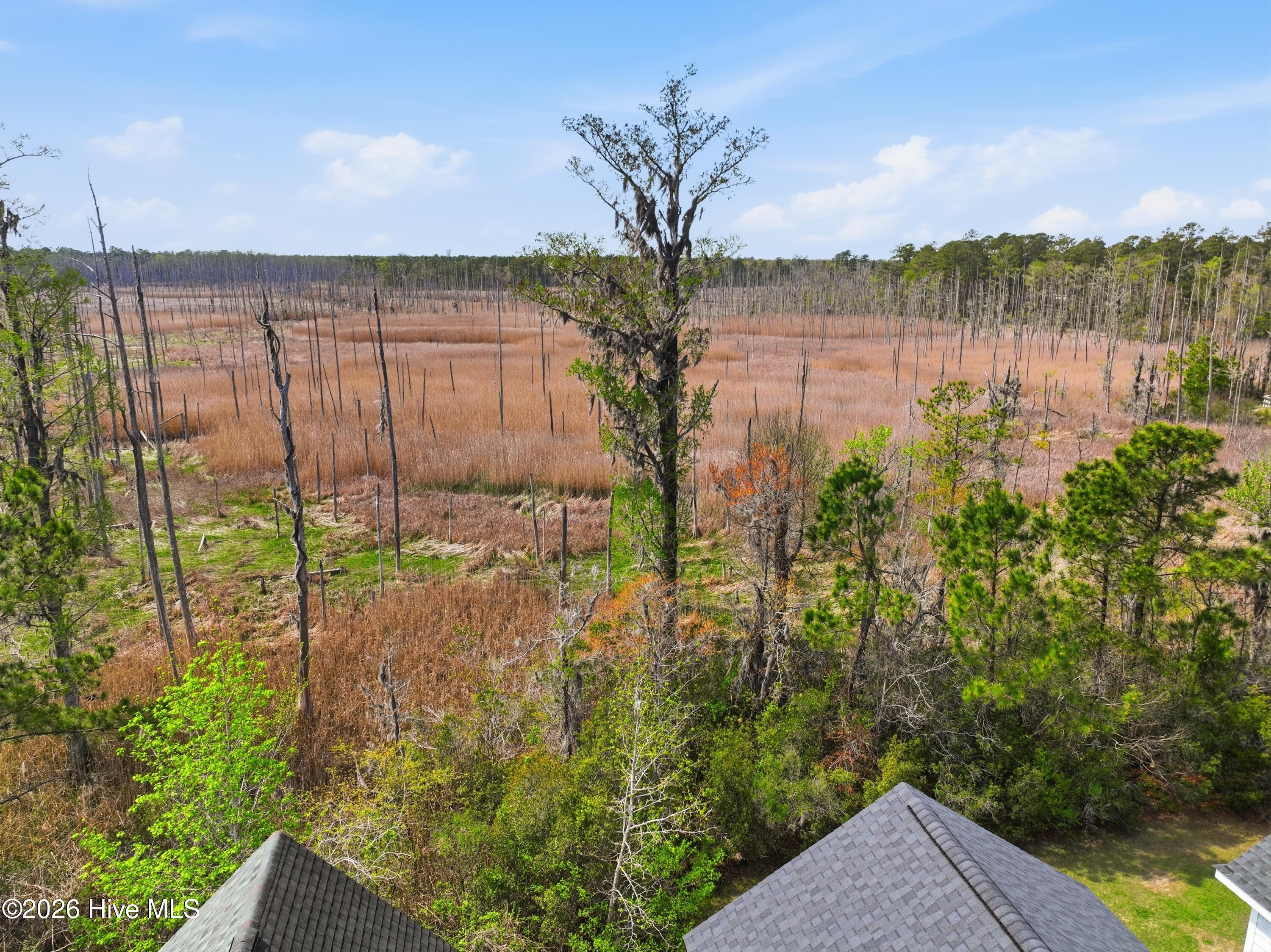 100563729 | Photo 63