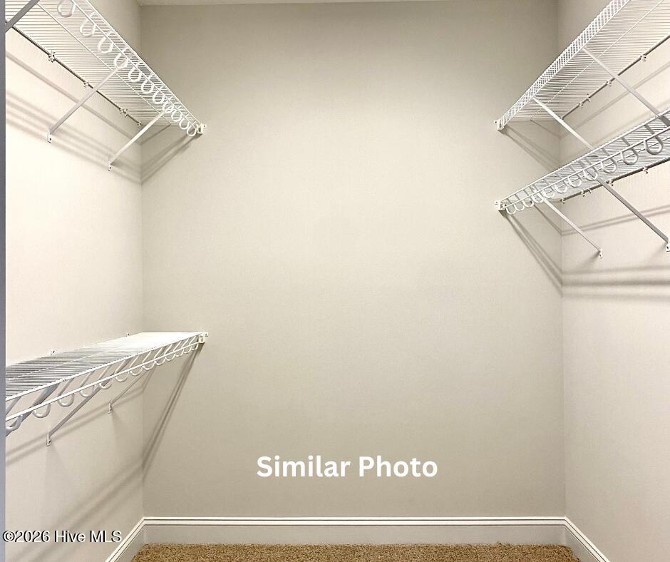 100553958 | Photo 19