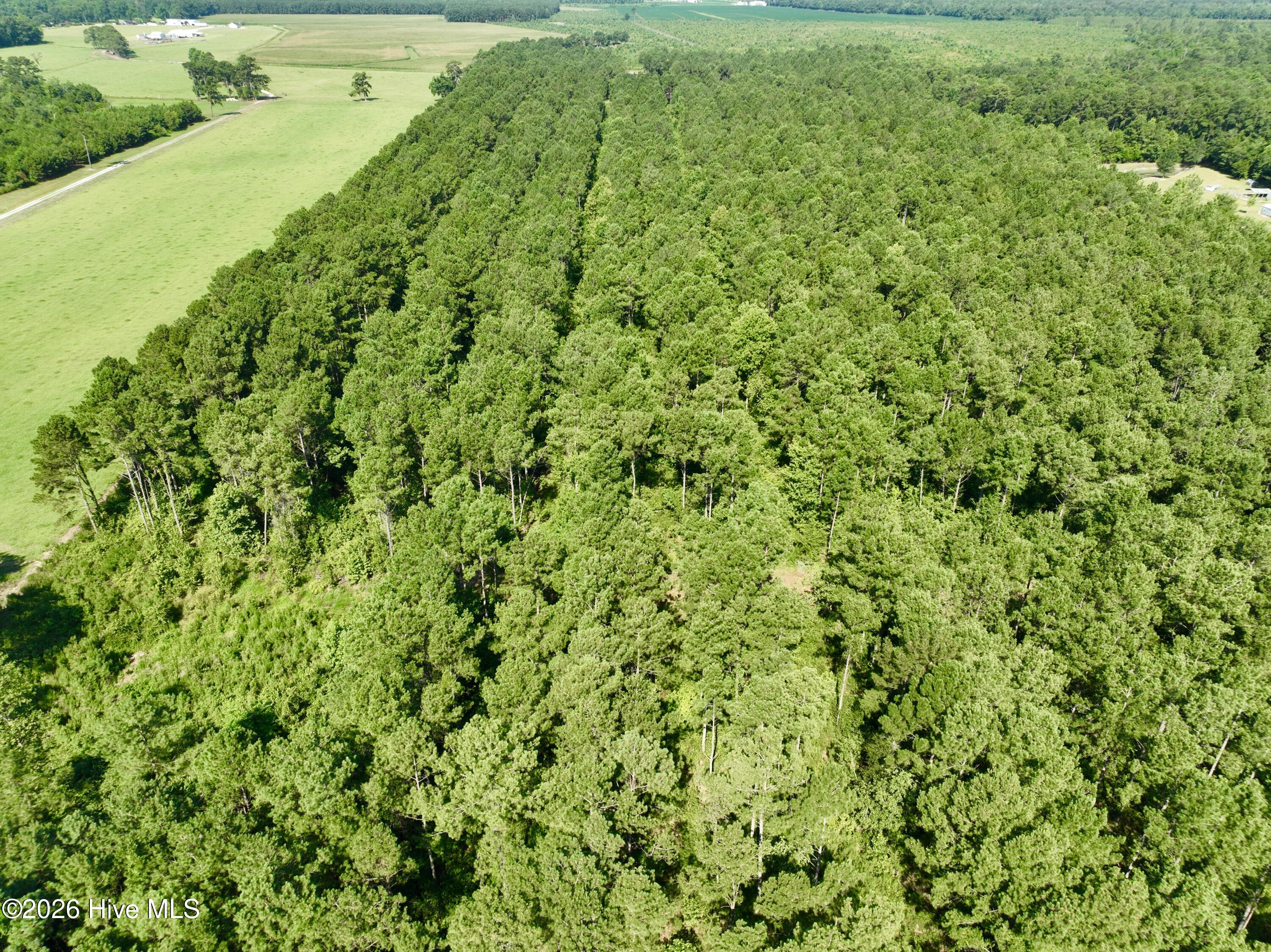 0 Cedar Fork Road,Beulaville