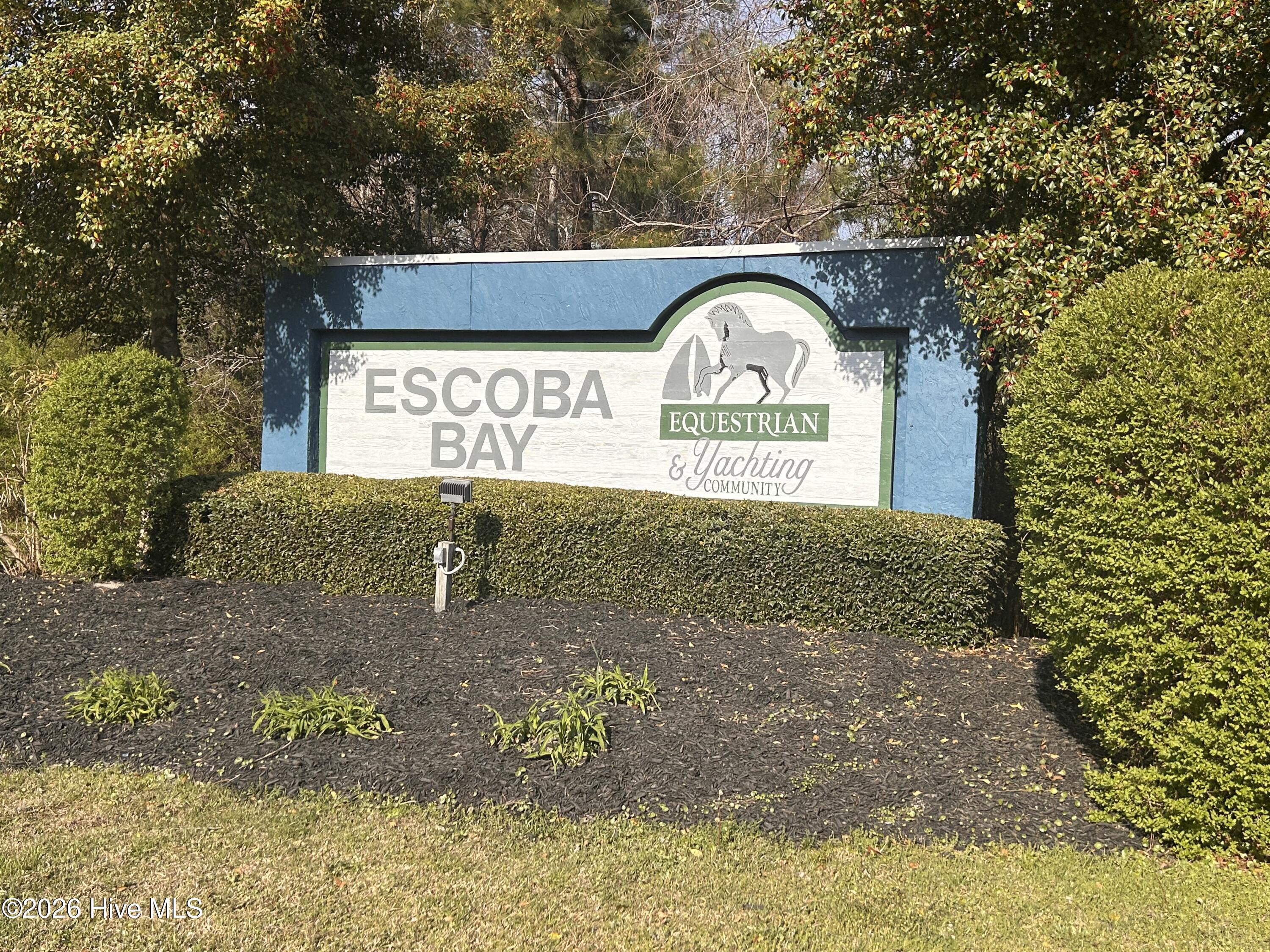 100564341 | Photo 56