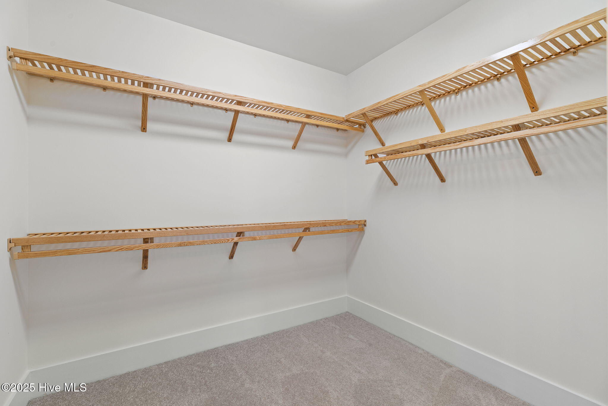 100523885 | Photo 39