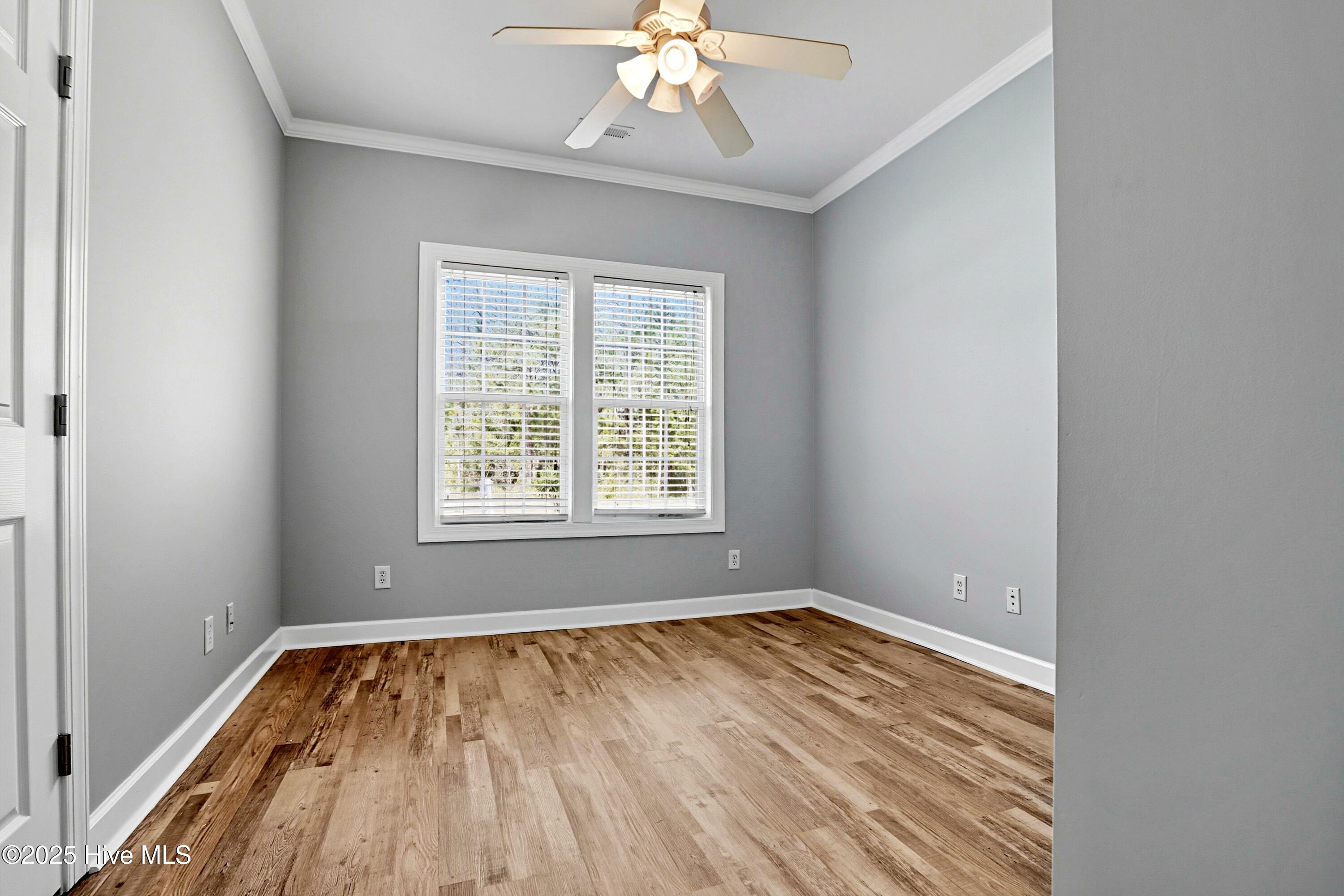 100529076 | Photo 35