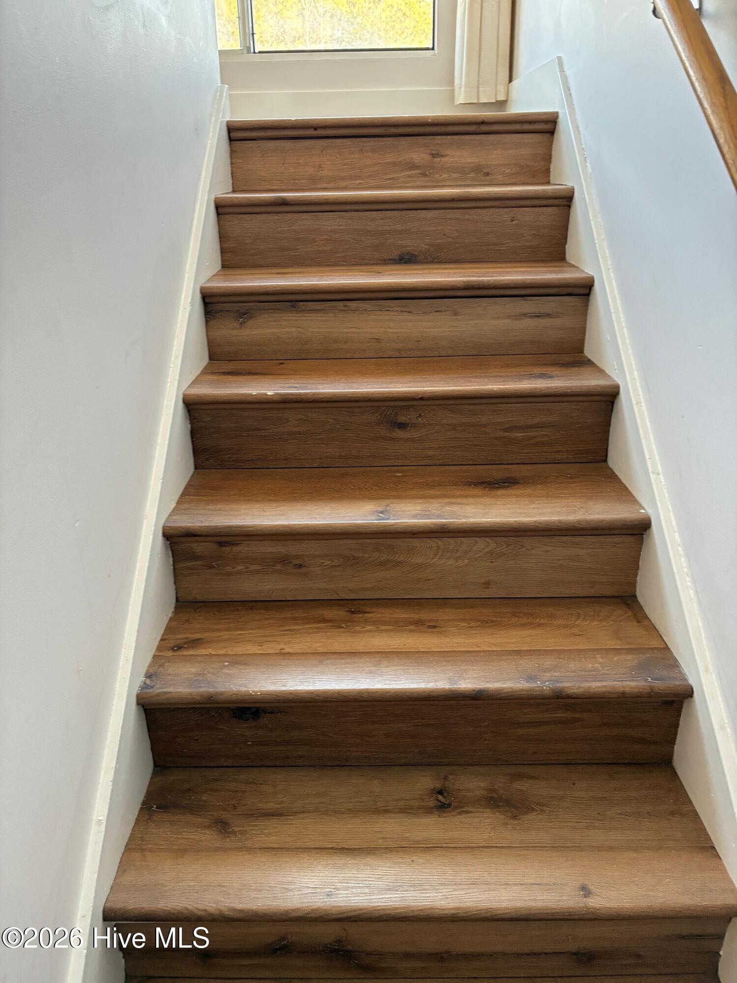 100554273 | Photo 10