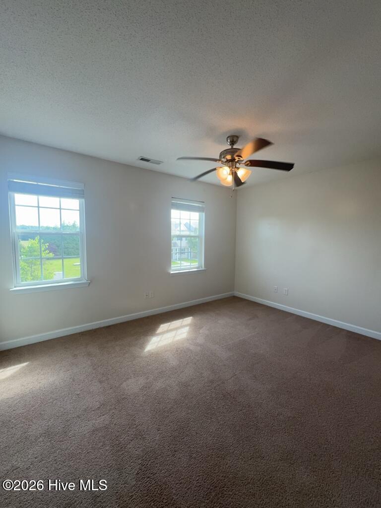 100570313 | Photo 13