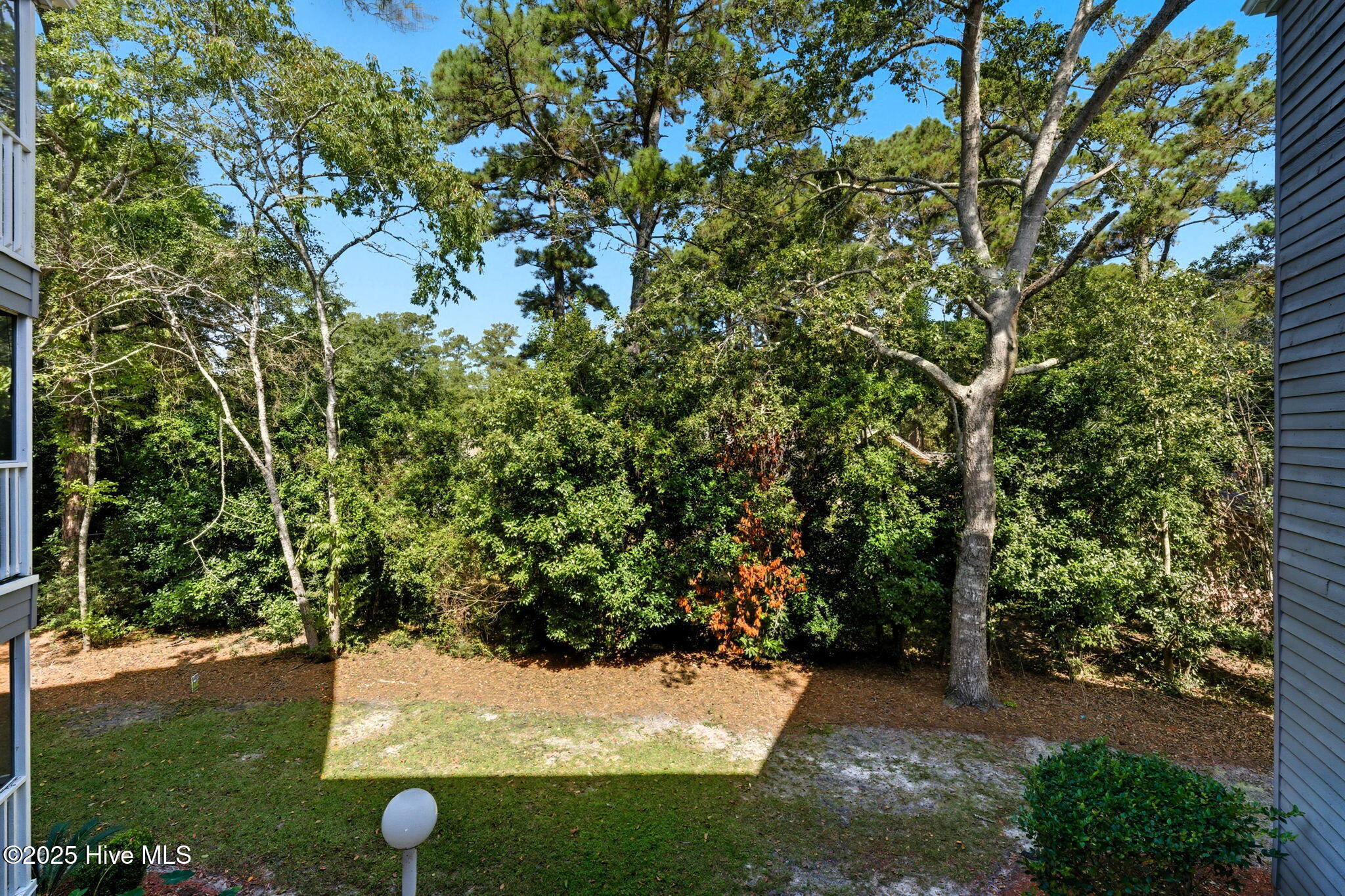 100535157 | Photo 31