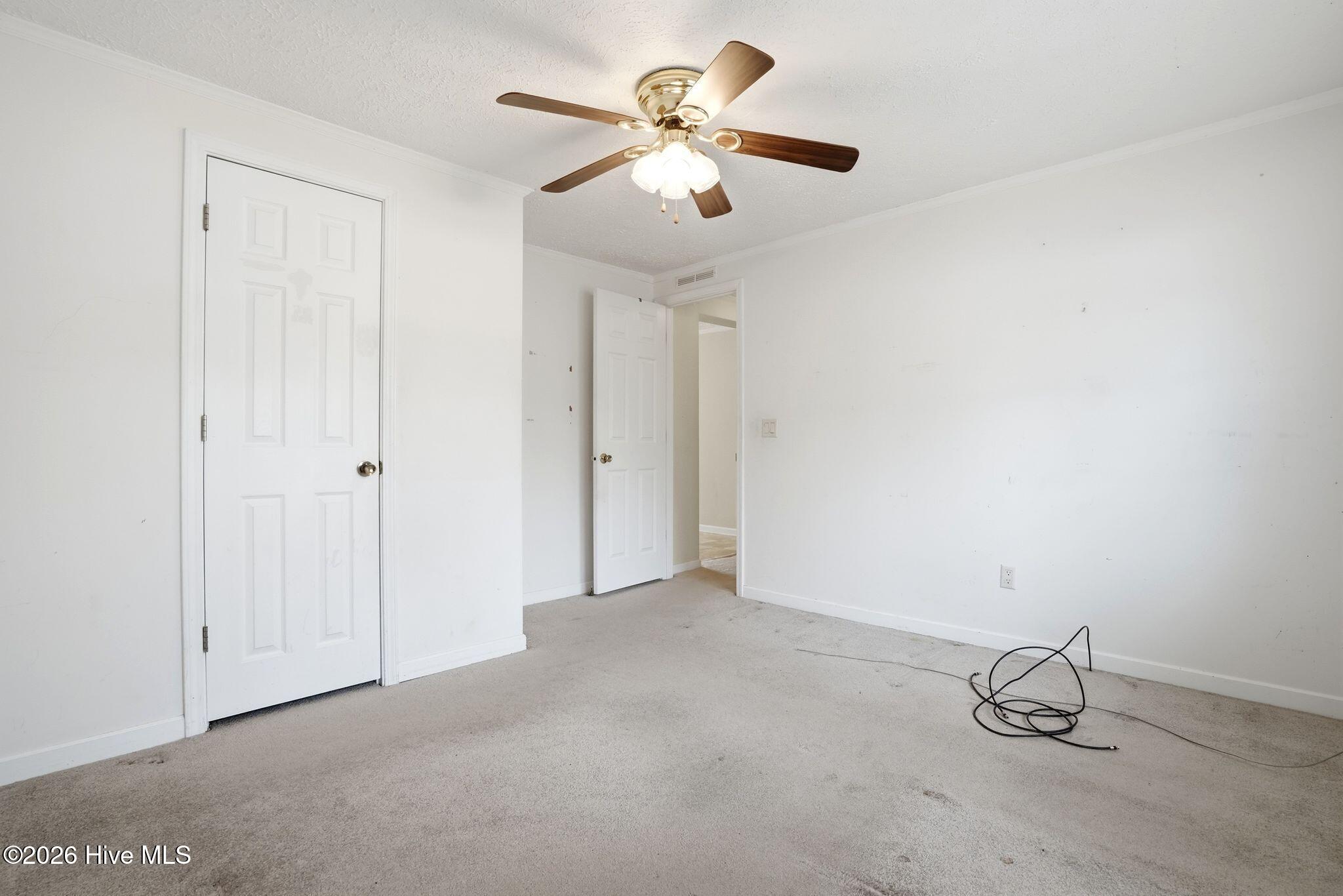 100556115 | Photo 60