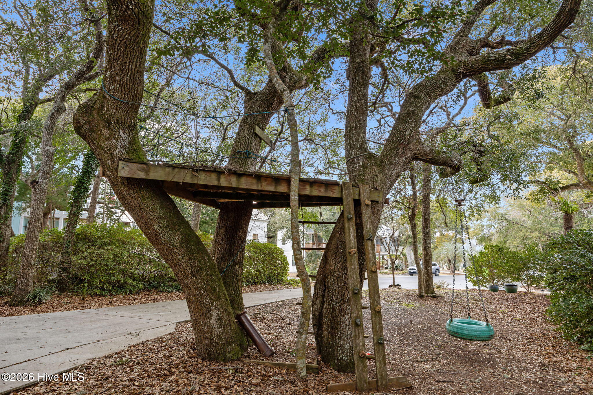 100552067 | Photo 45