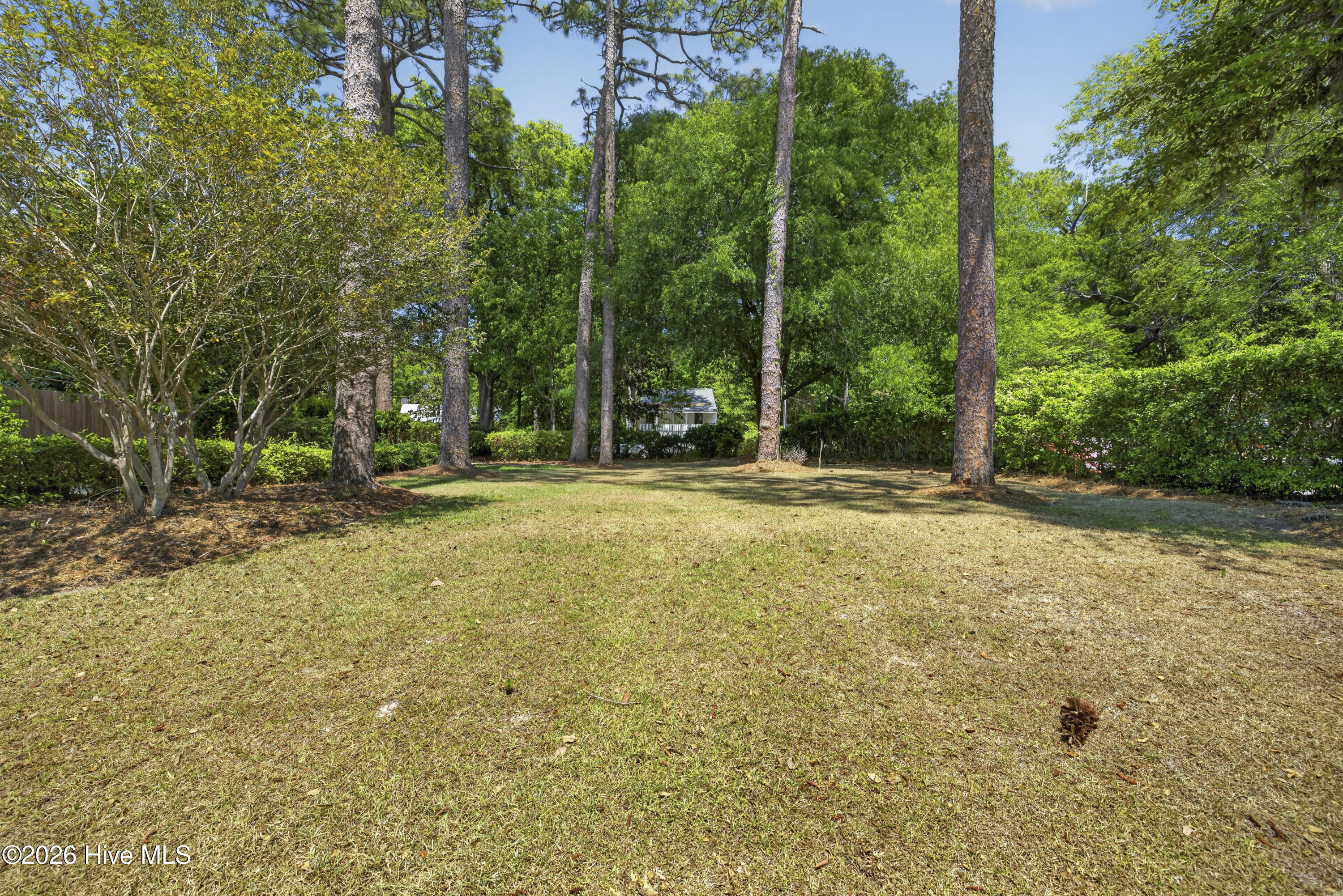 100569316 | Photo 15