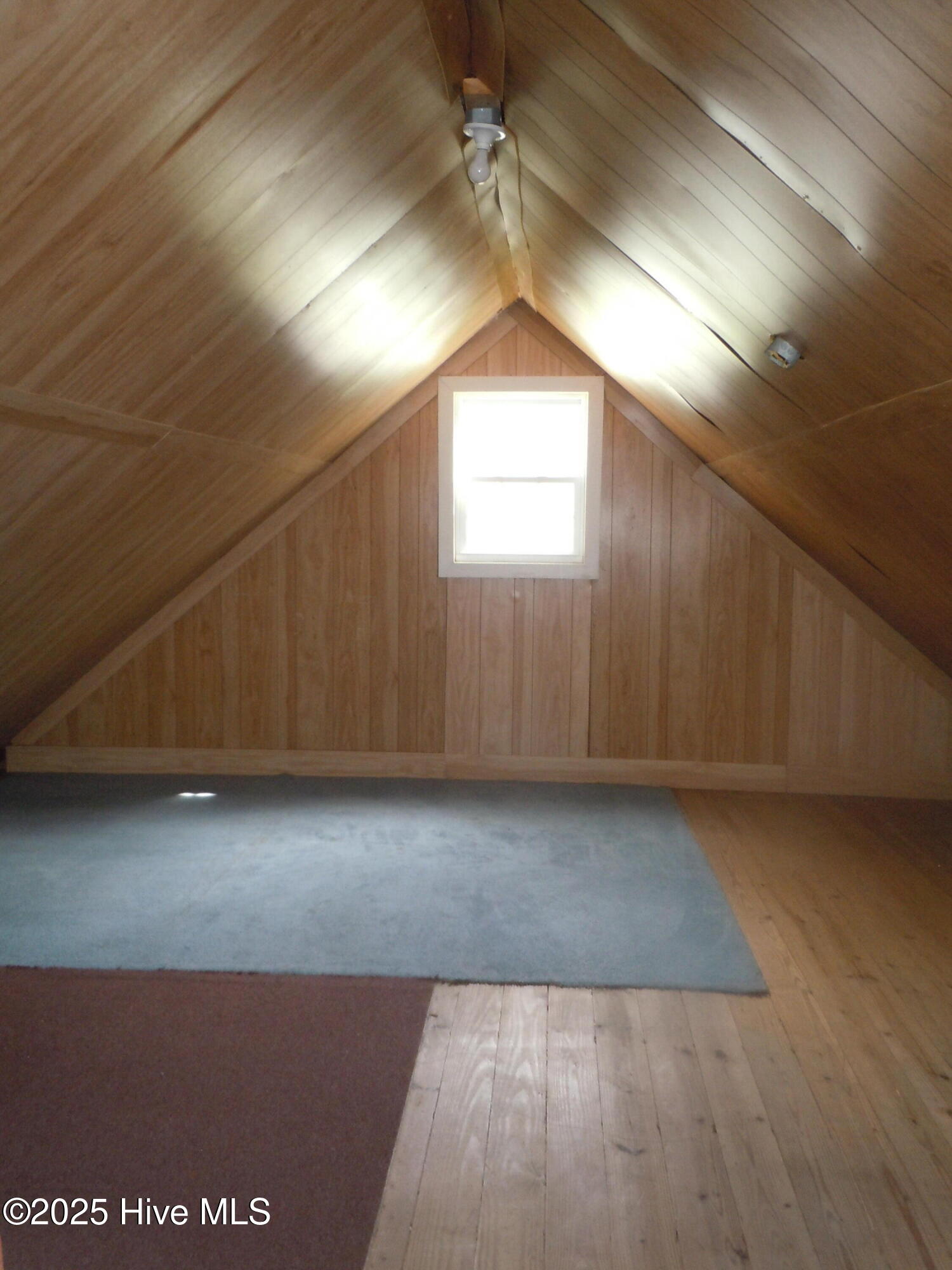 100536293 | Photo 55