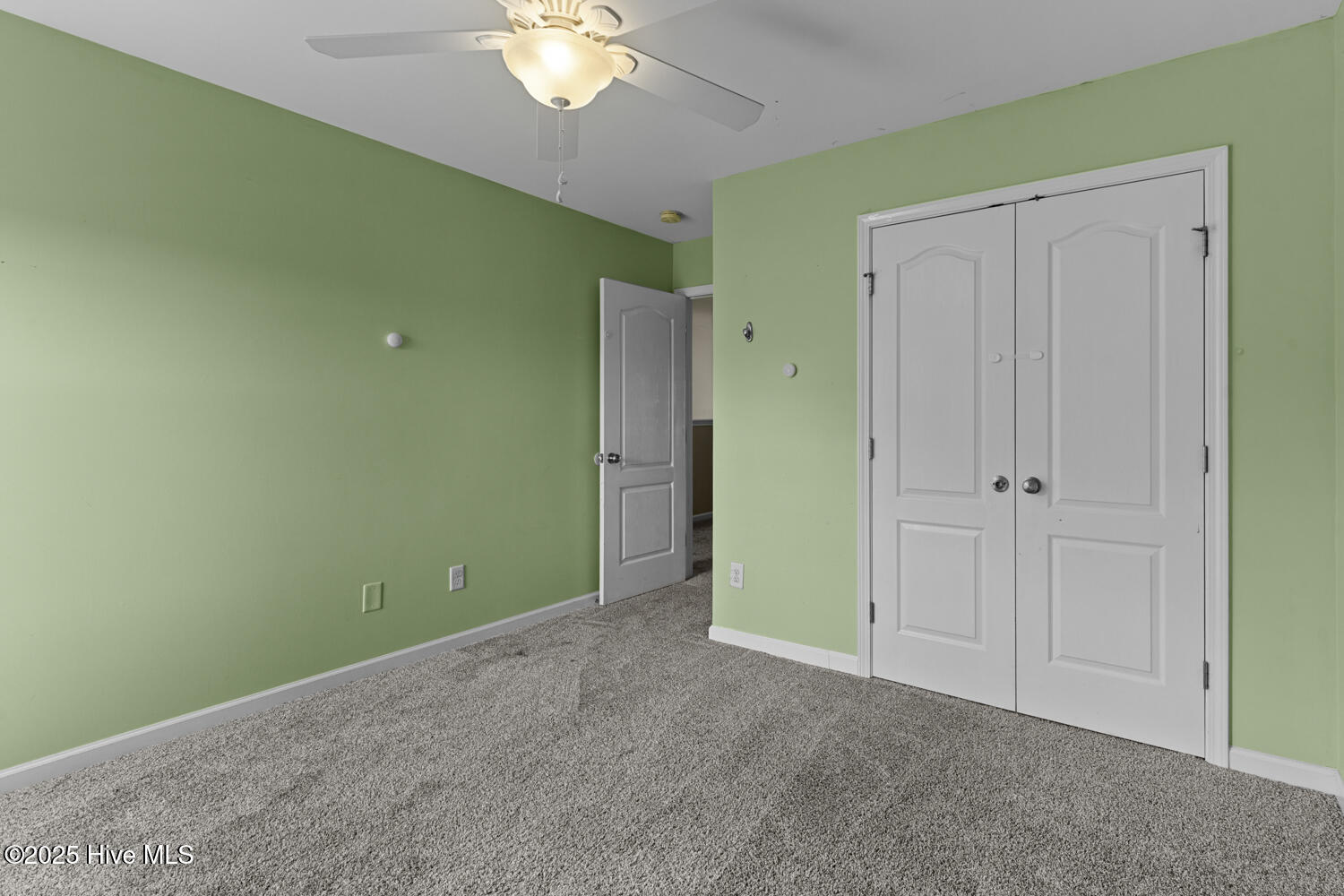 100506336 | Photo 29