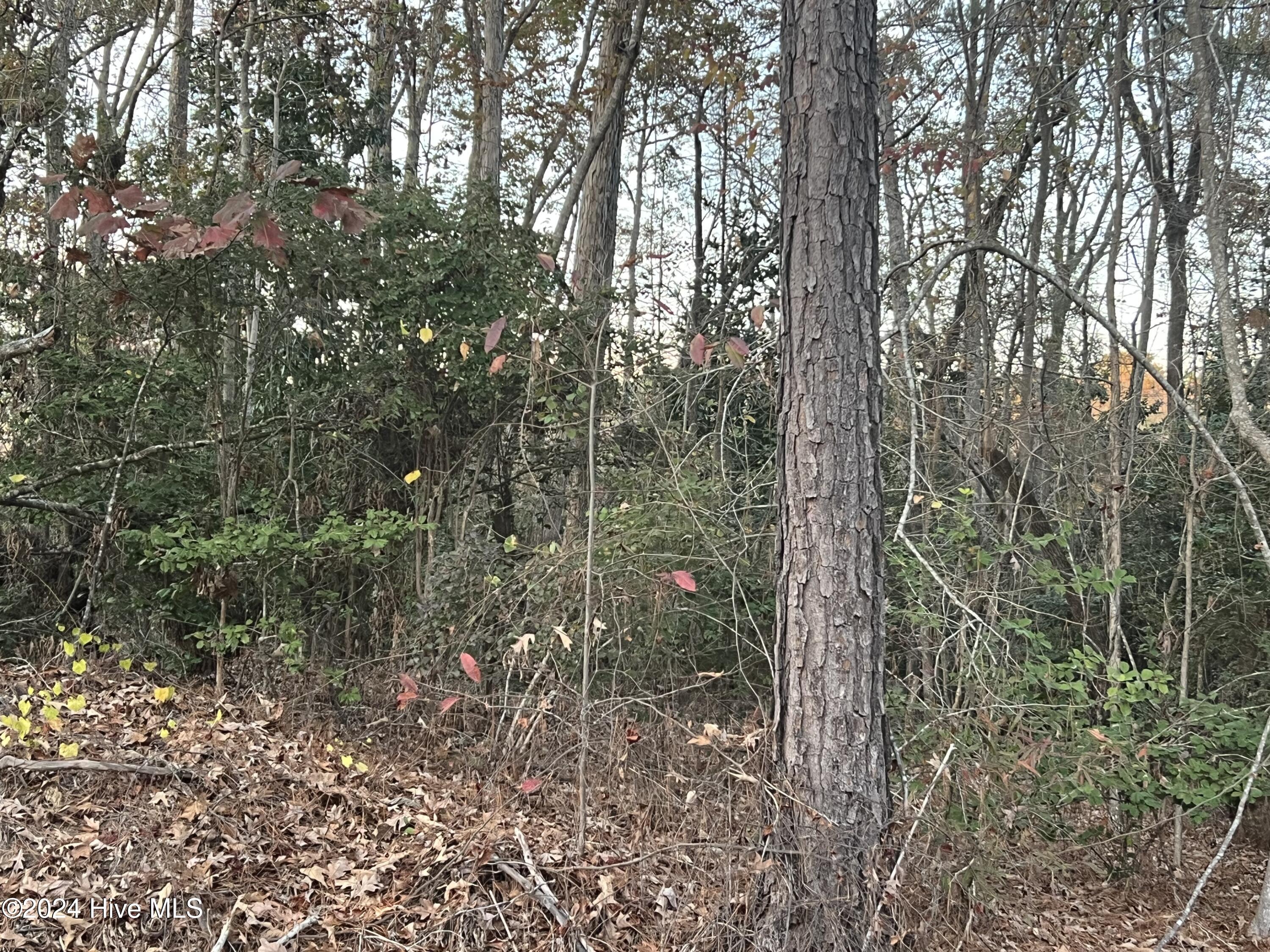 Homes for sale in Whispering Pines, NC | 204 Lakeview Dr, Whispering Pines, NC 28327 | MLS# 100552420