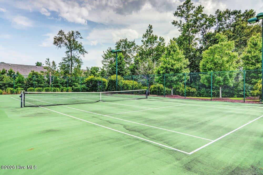 100553268 | Photo 42