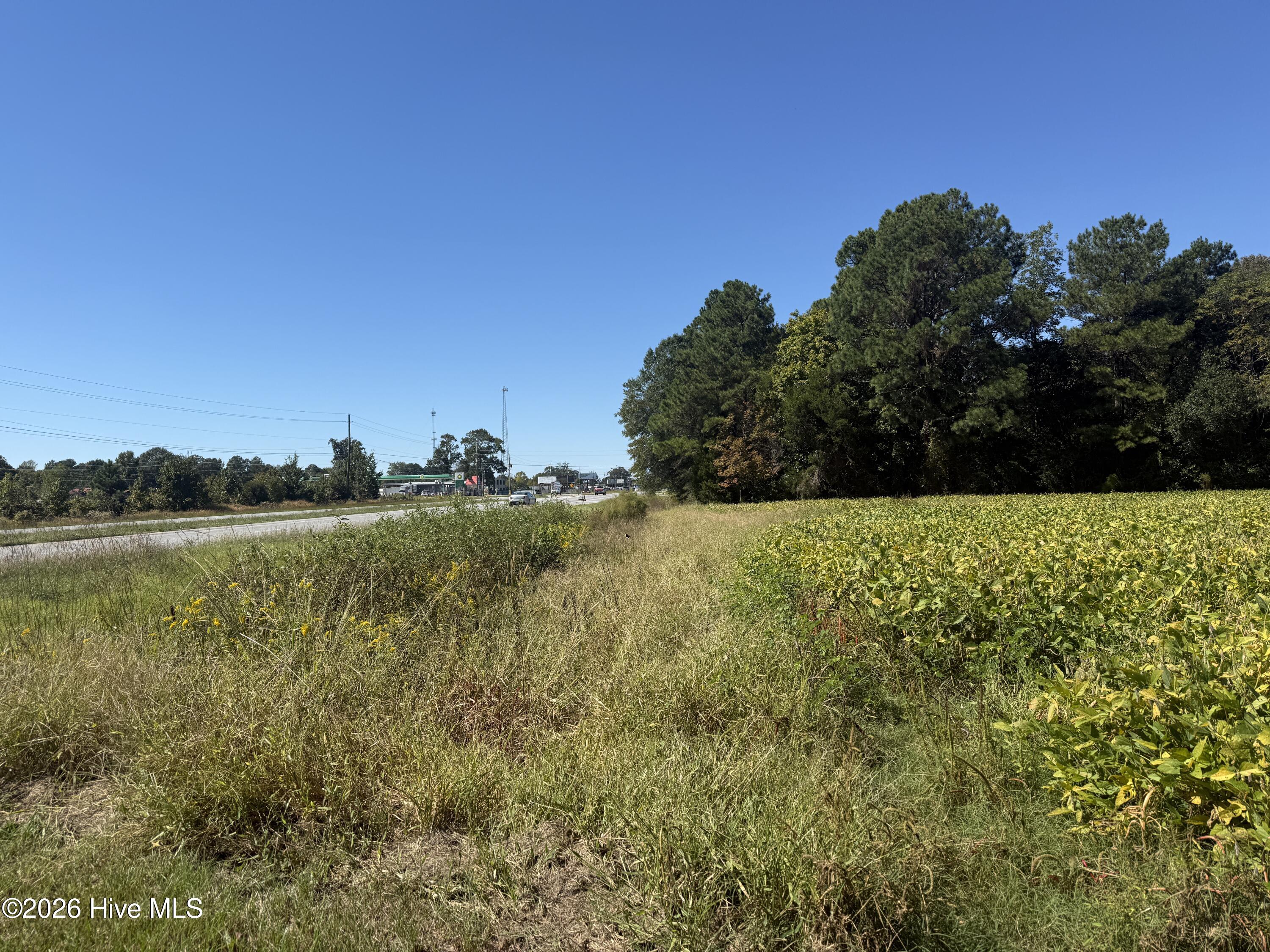 100608836 | Photo 2