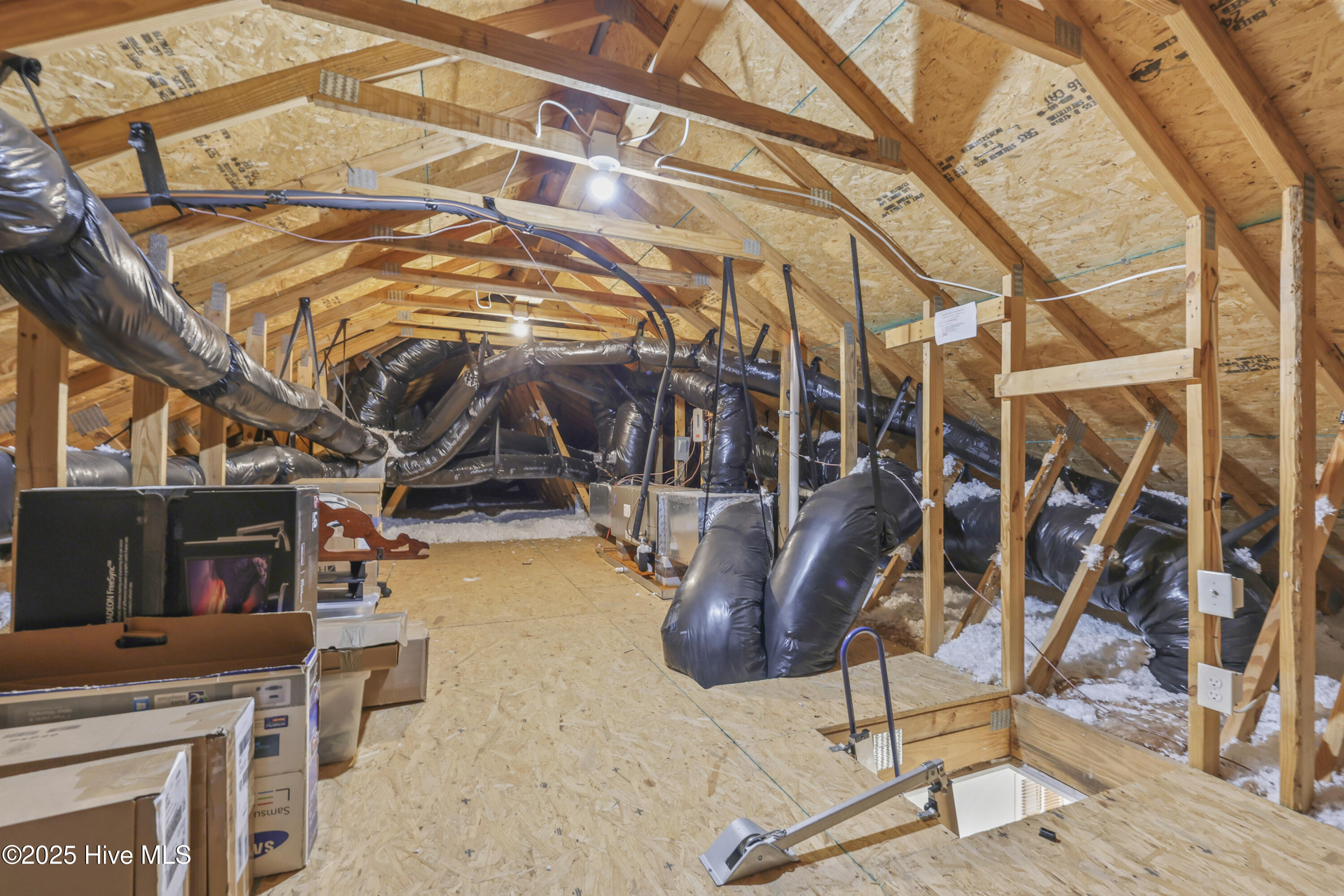 100536378 | Photo 41