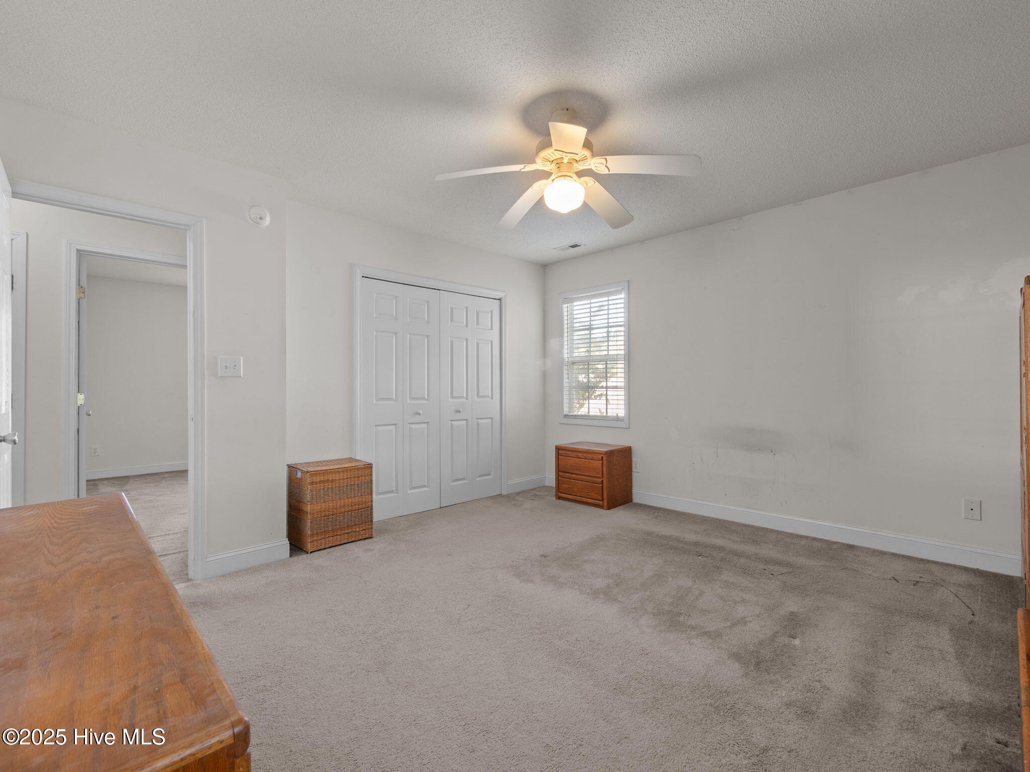 100545105 | Photo 23