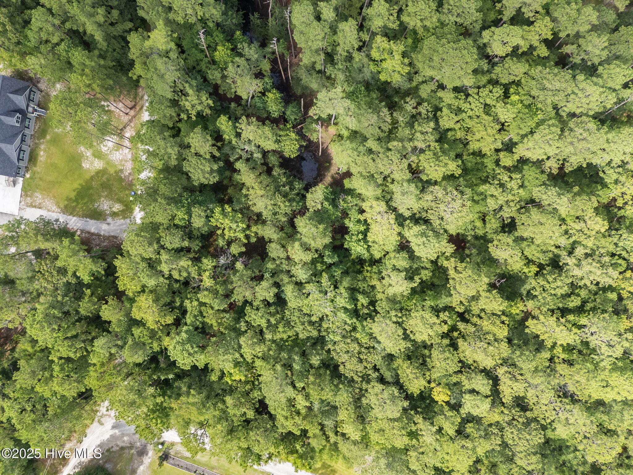 100519526 | Photo 13