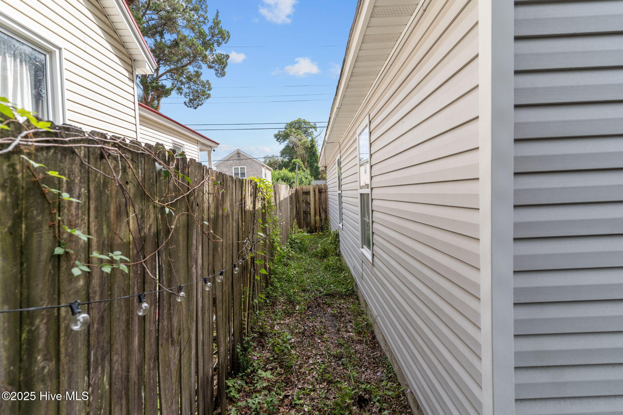 100534233 | Photo 29