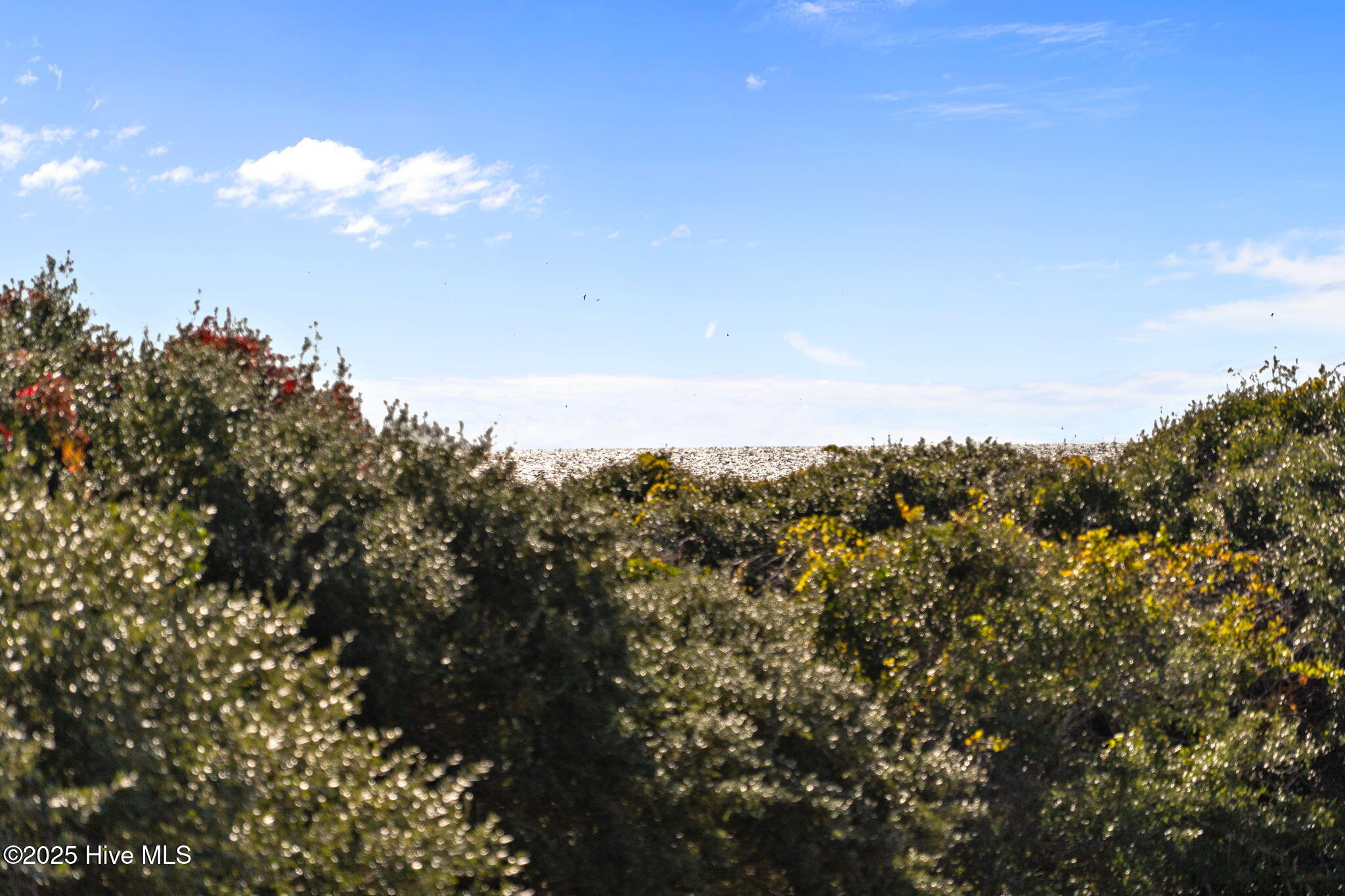 Homes for sale in Caswell Beach, NC | 27 Foxfire Tr, Caswell Beach, NC 28465 | MLS# 100539622