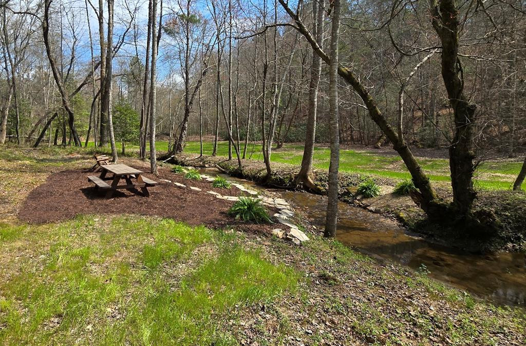 Creekside picnic area