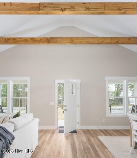 100549036 | Photo 13