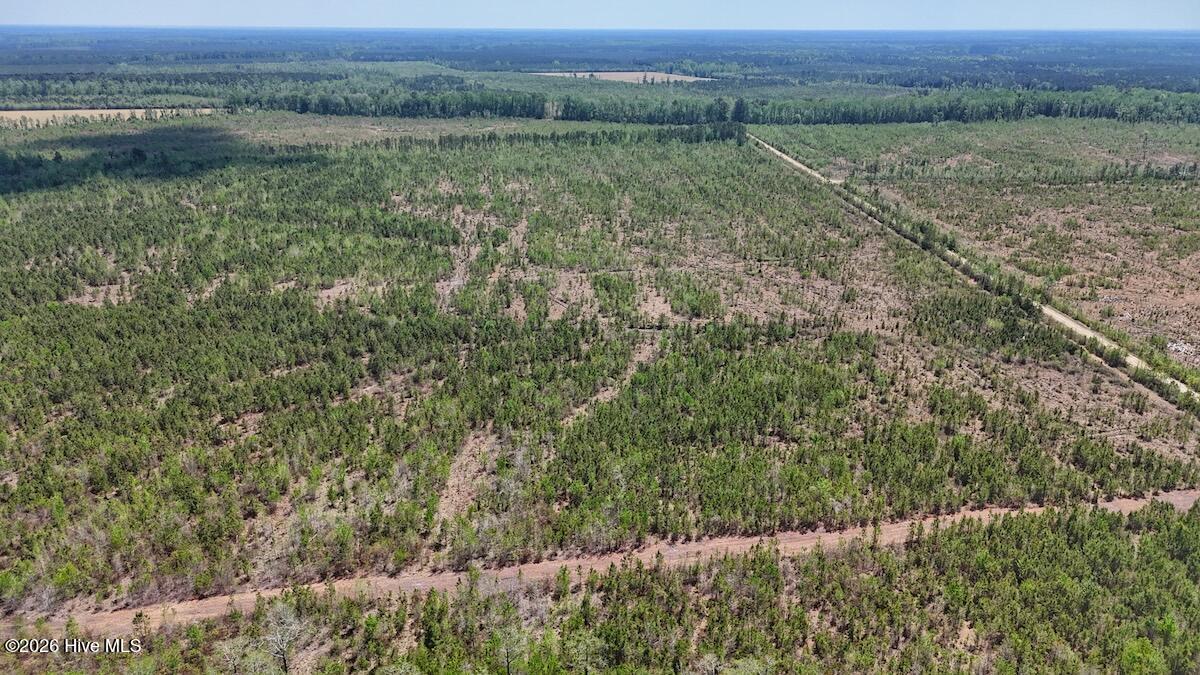 0 Guinea Mill Road, Ernul, NC, 28527