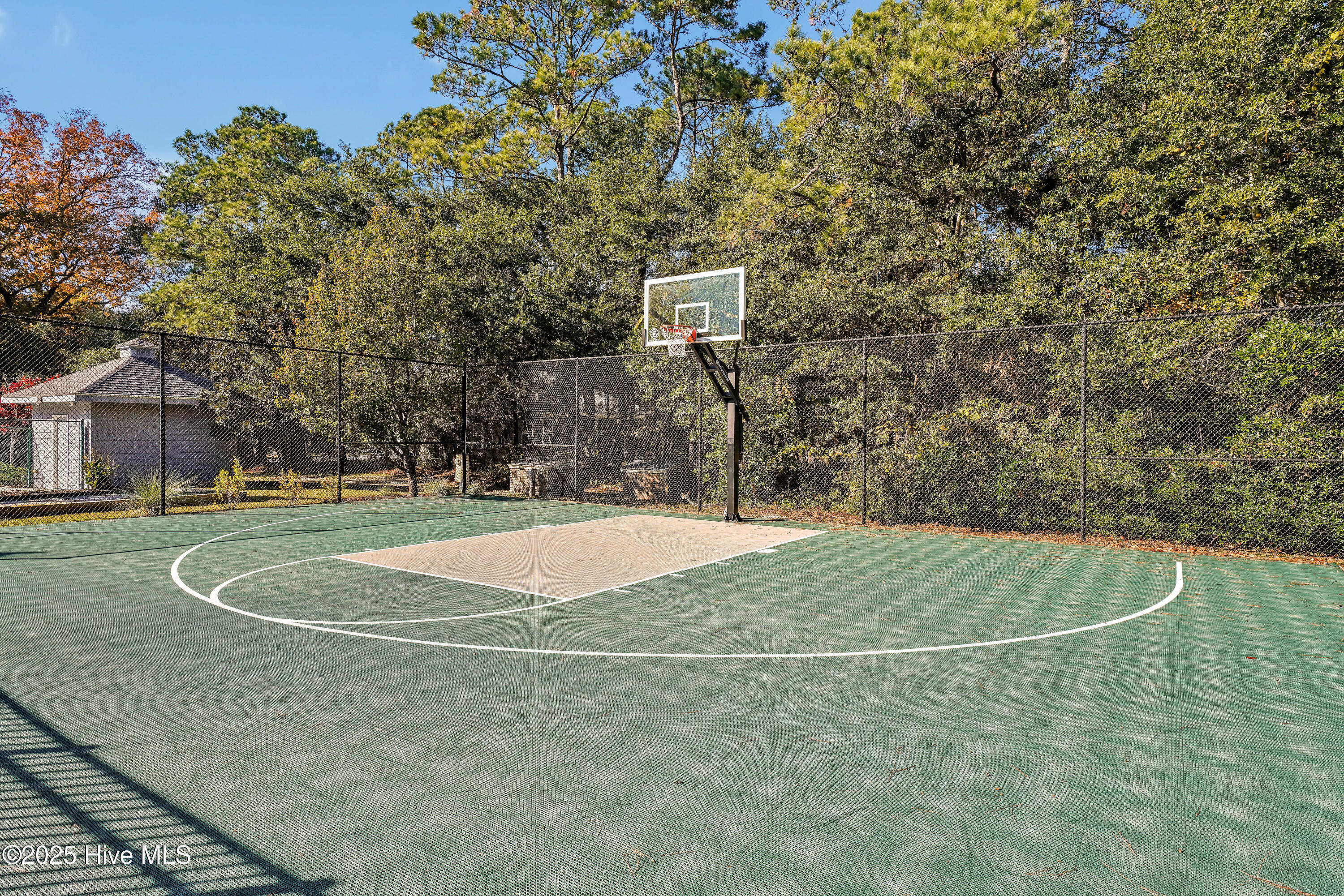 100544315 | Photo 18