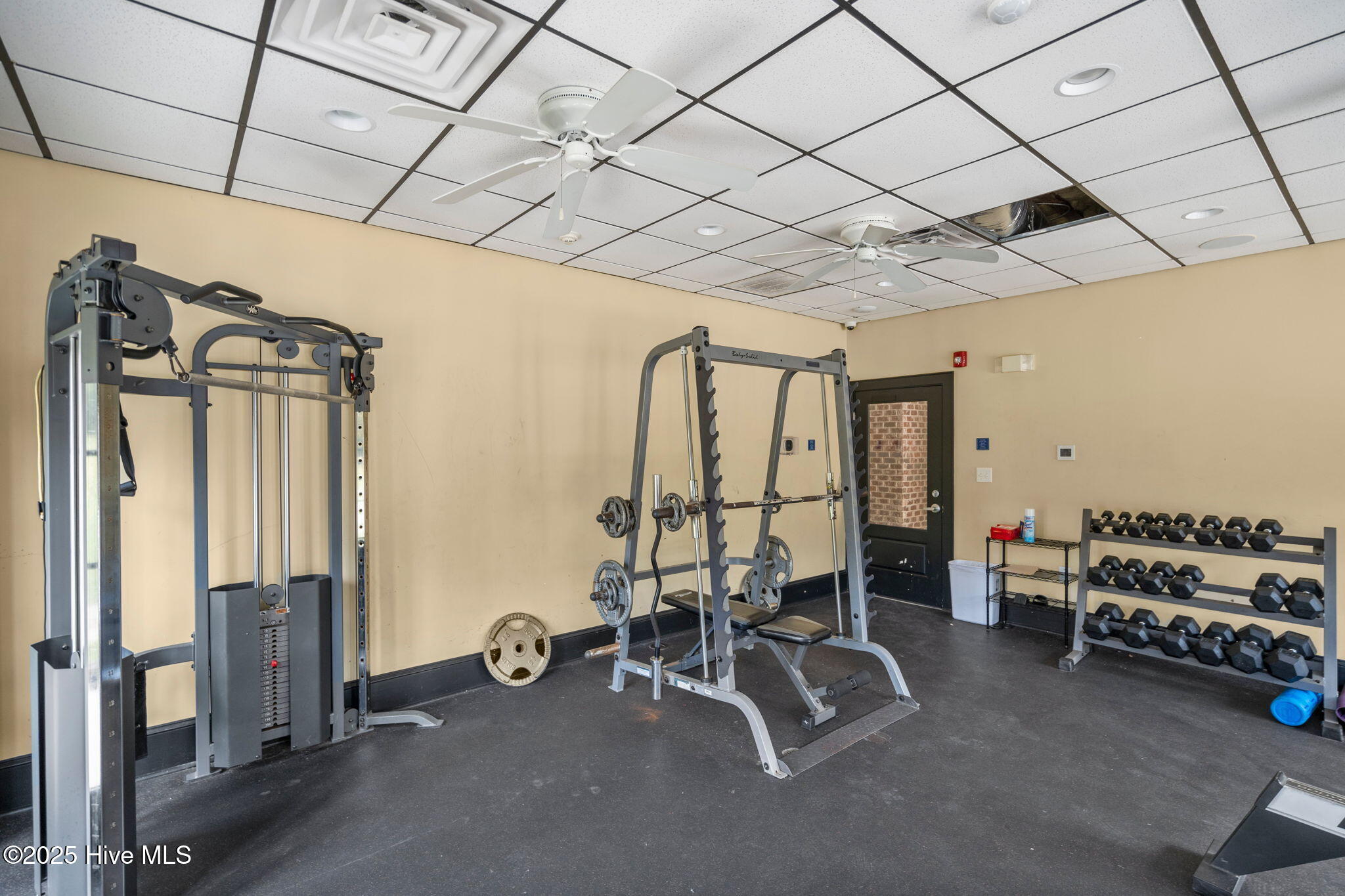 100518036 | Photo 45