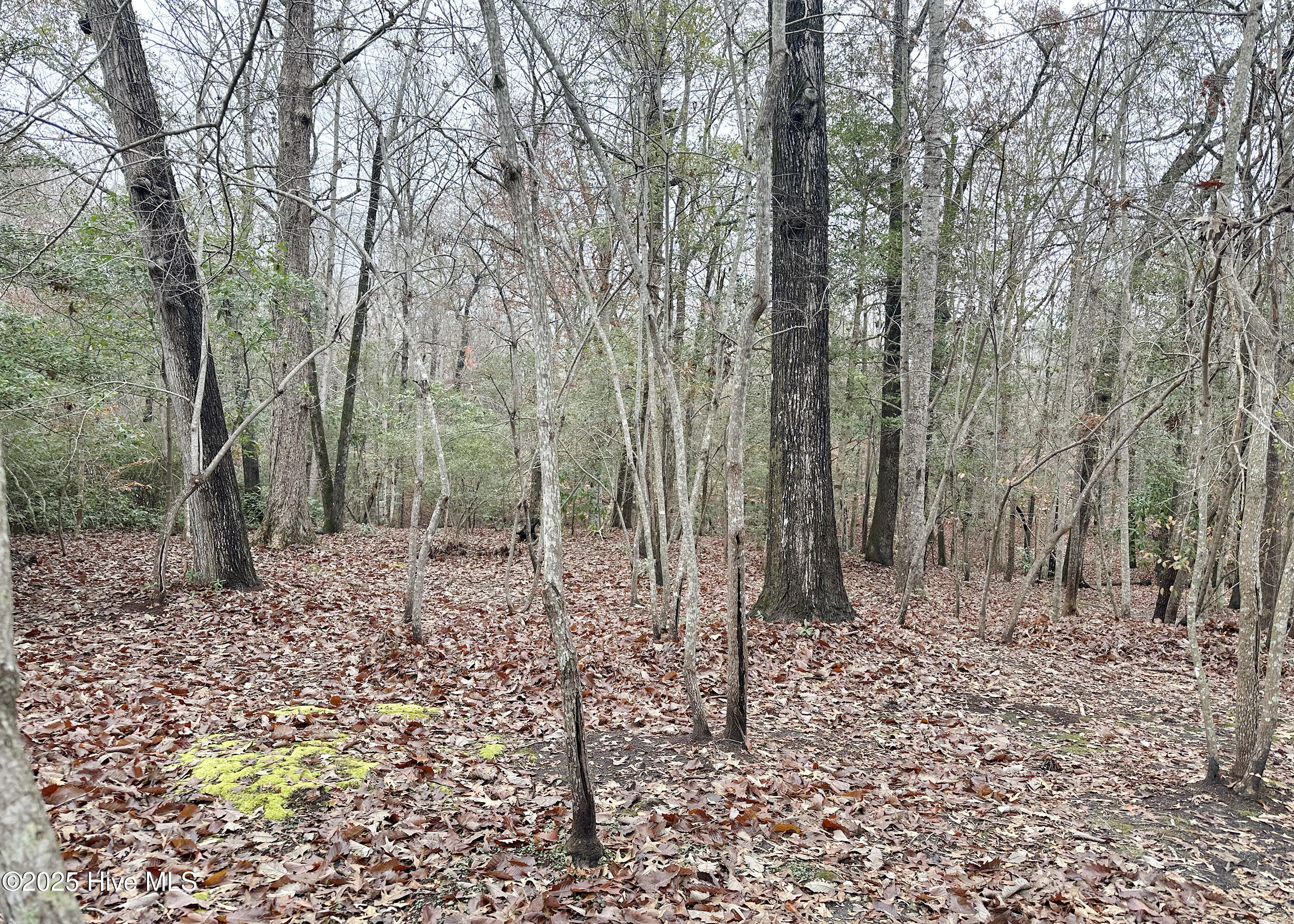 100544373 | Photo 13