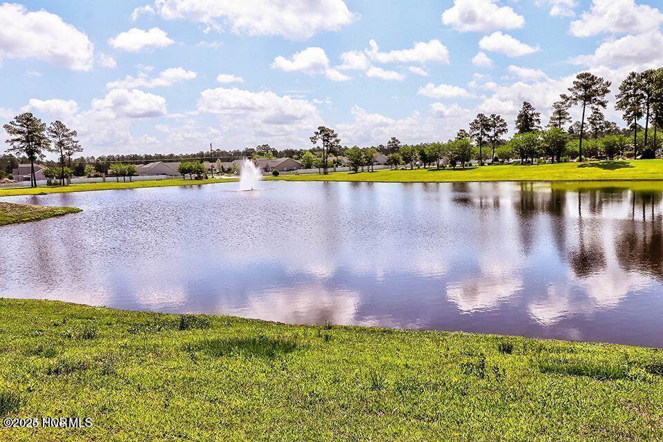 100541284 | Photo 25