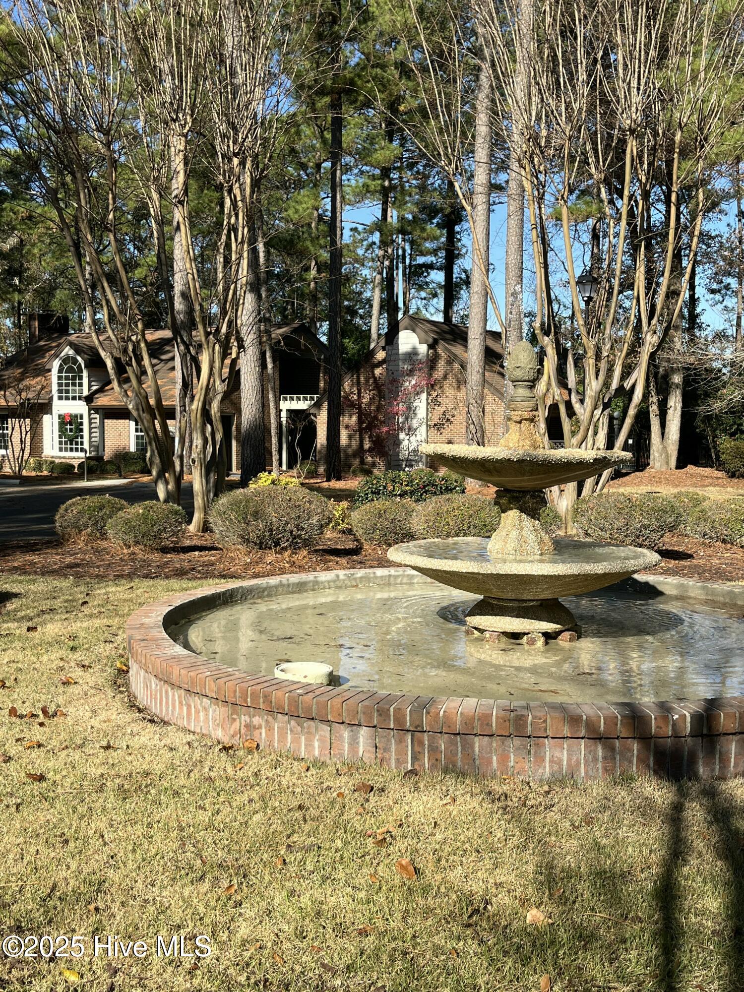 100546535 | Photo 59