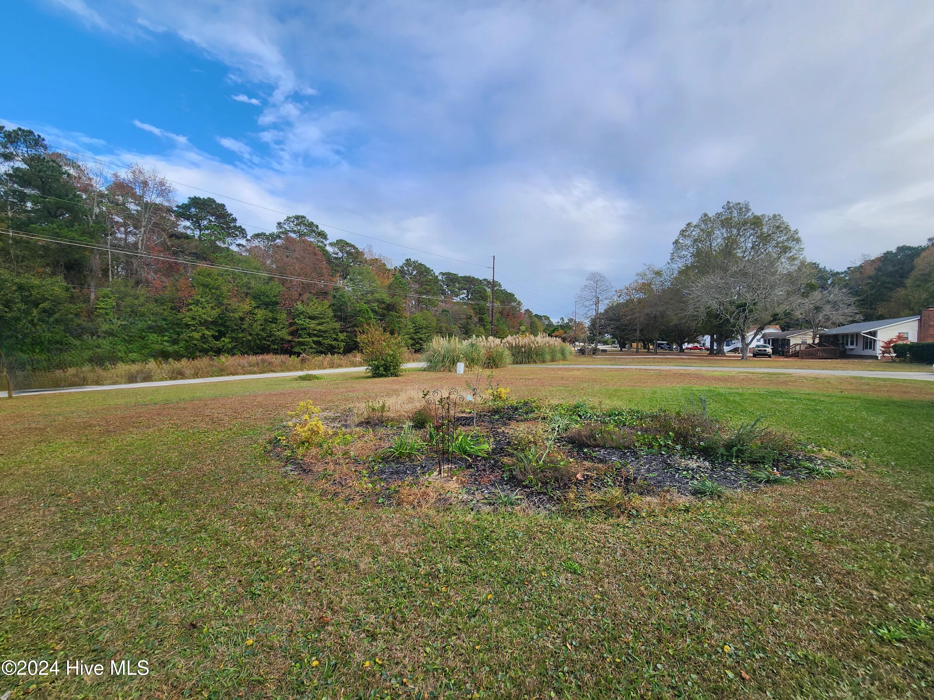 100477106 | Photo 18