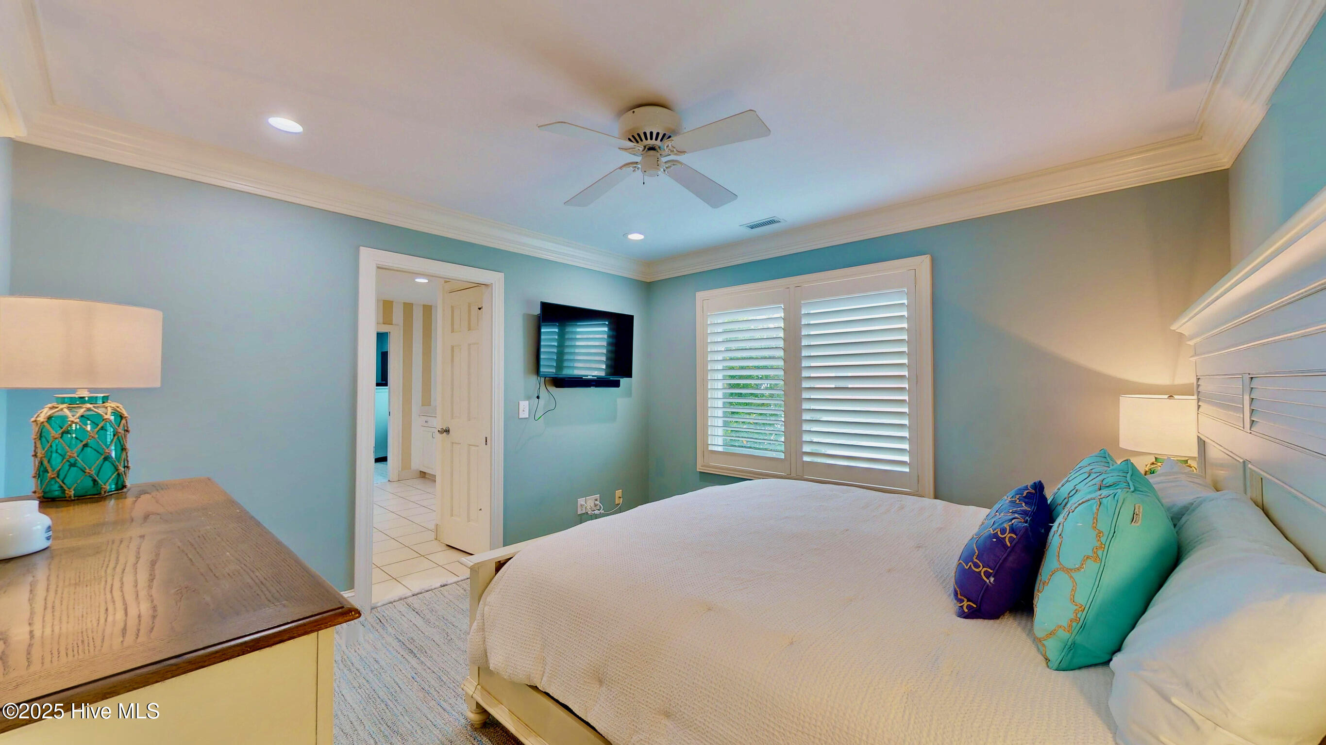 100543231 | Photo 43