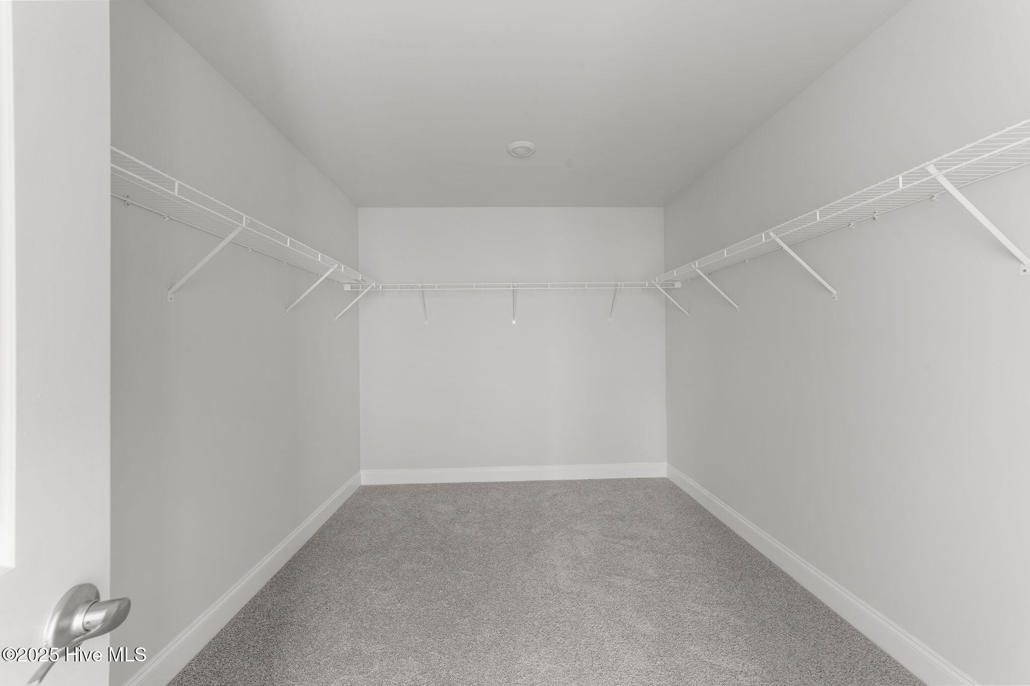 100509946 | Photo 30