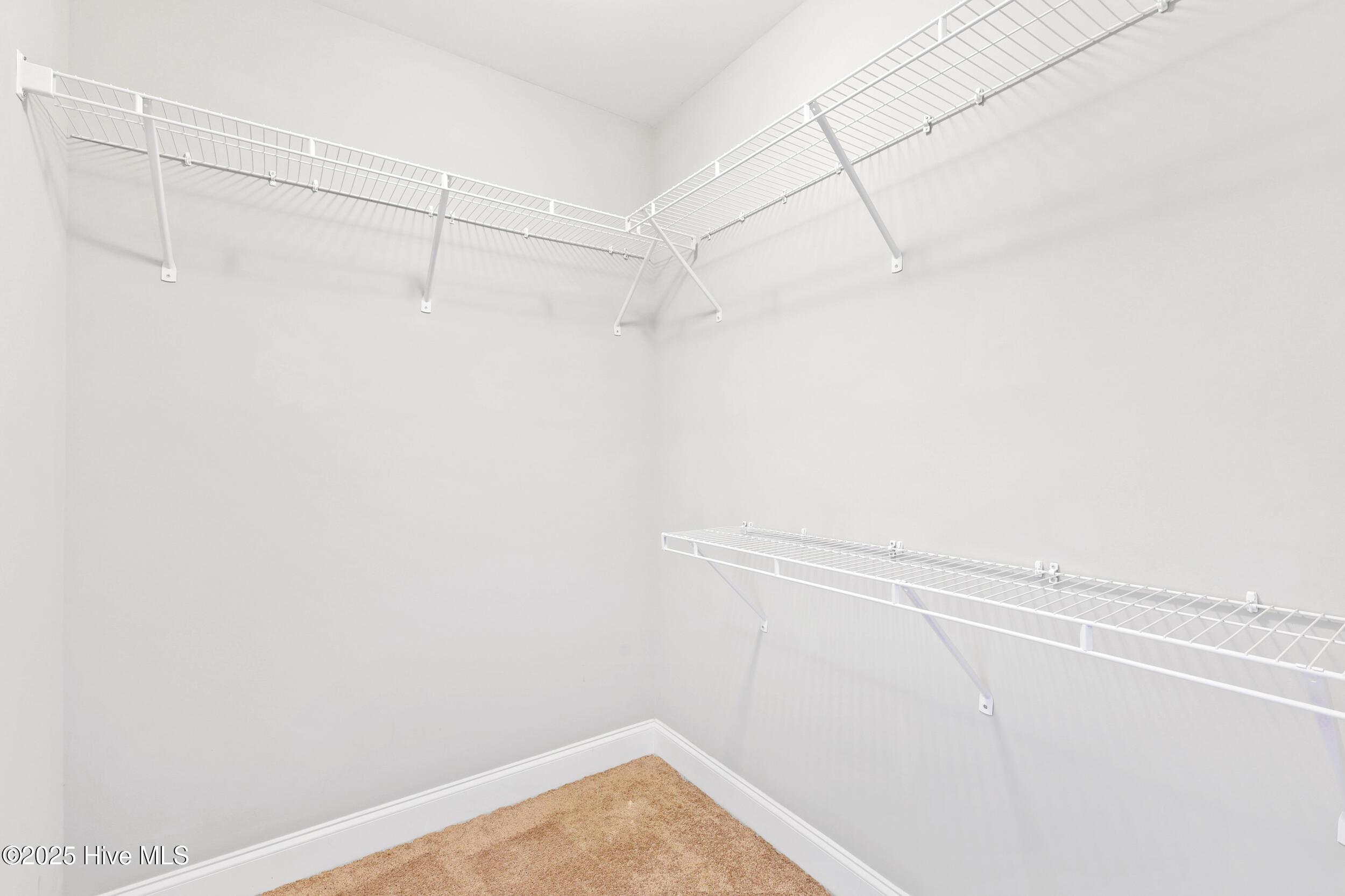 100537406 | Photo 28