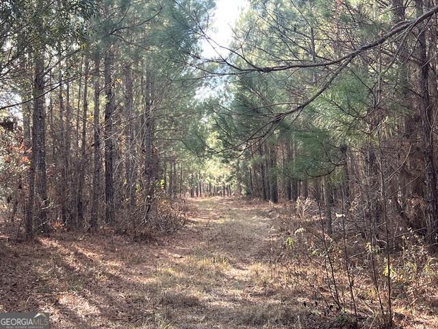 Homes for sale in Millen, GA | 0 Thomas Rd, Millen, GA 30442 | MLS# 549544