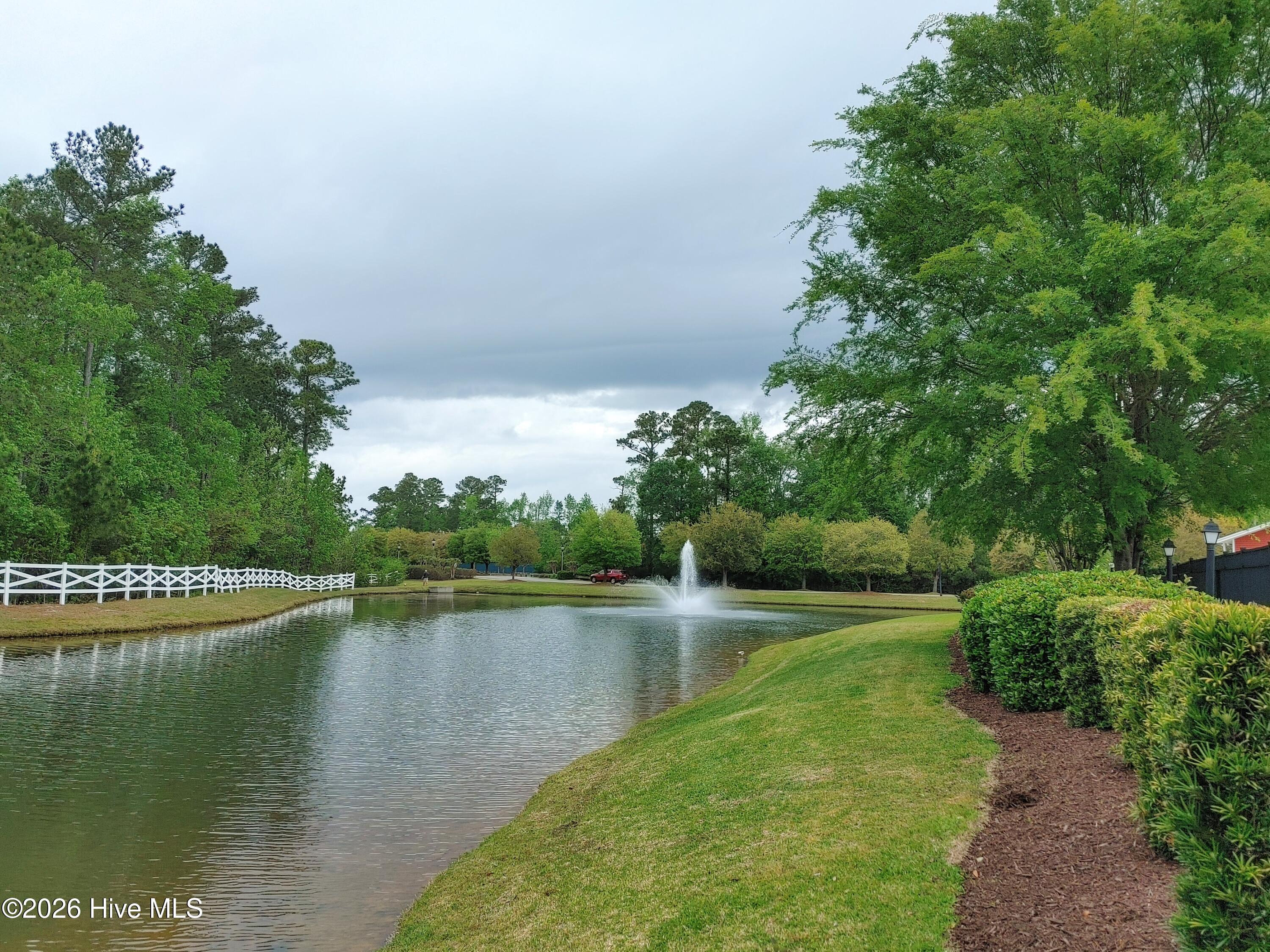 100558240 | Photo 51