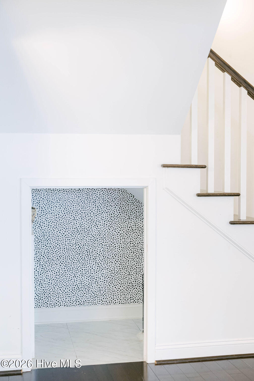 100558568 | Photo 15