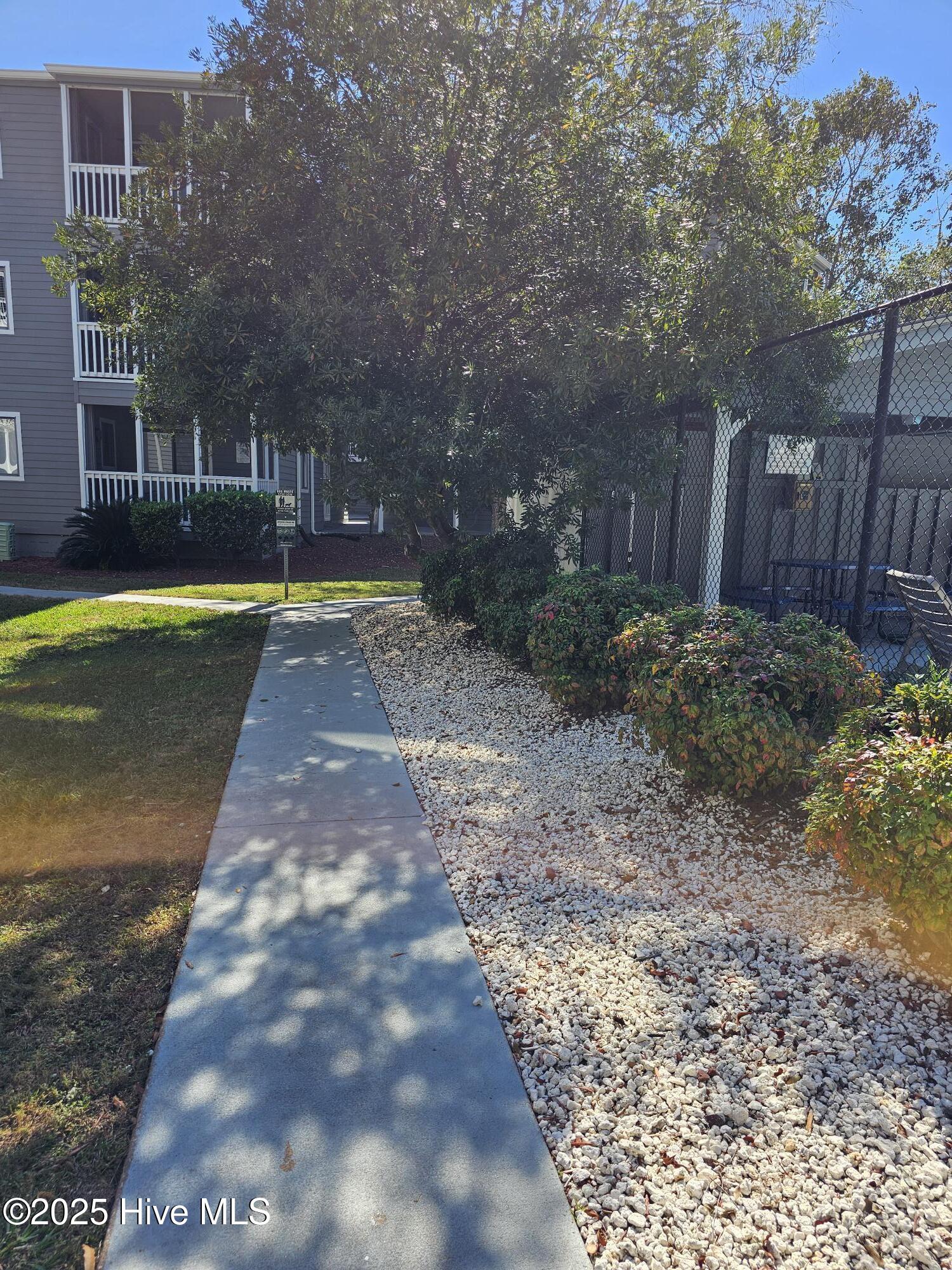 100537218 | Photo 42